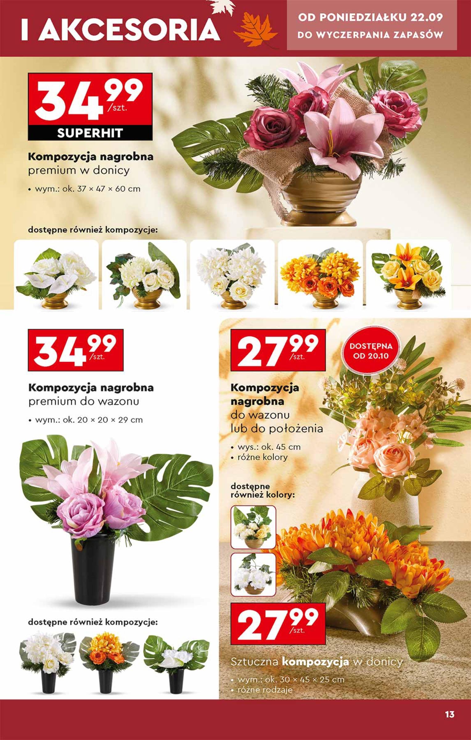 Gazetka promocyjna Biedronka str. 13