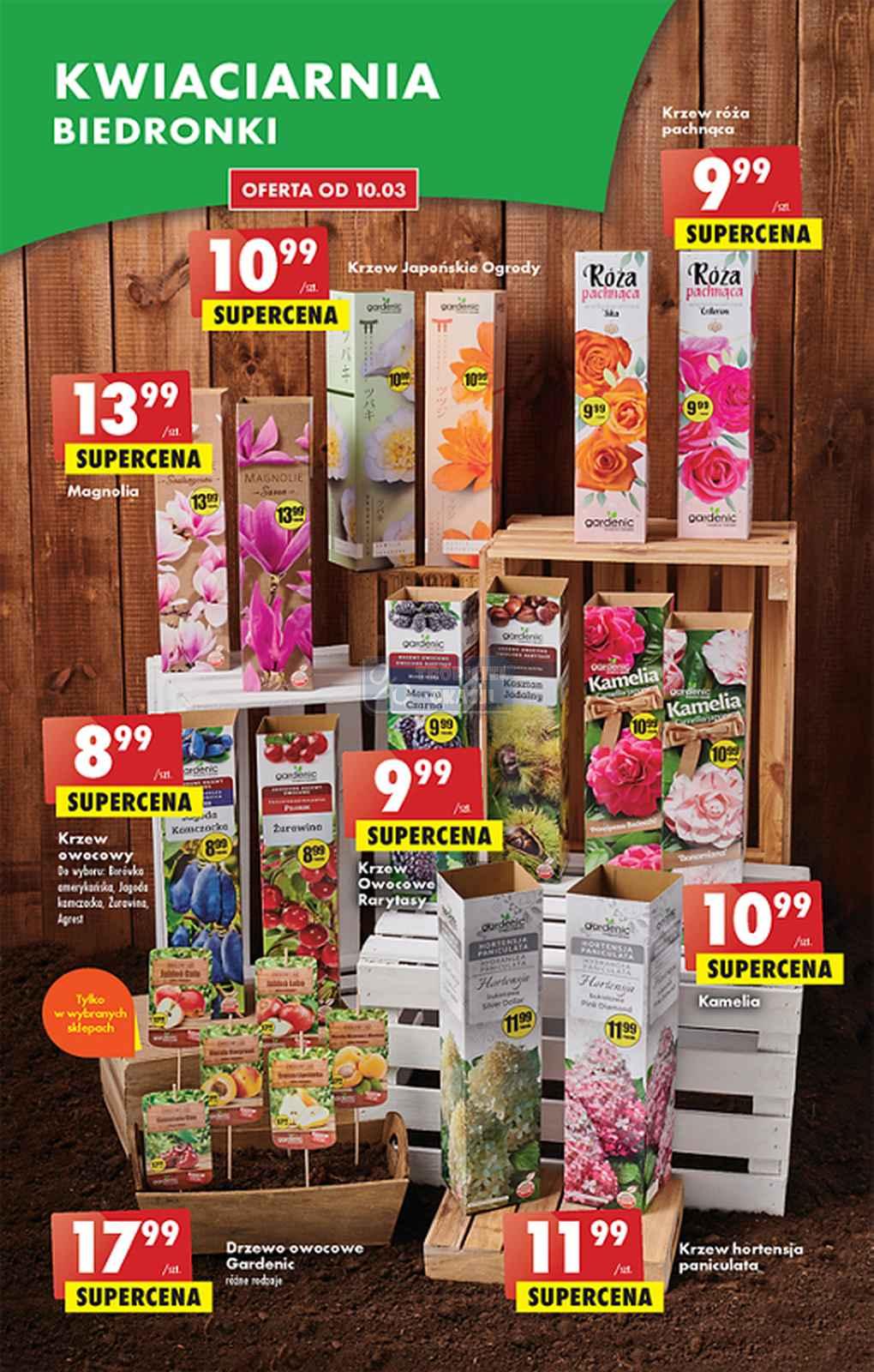 Gazetka promocyjna Biedronka str. 15