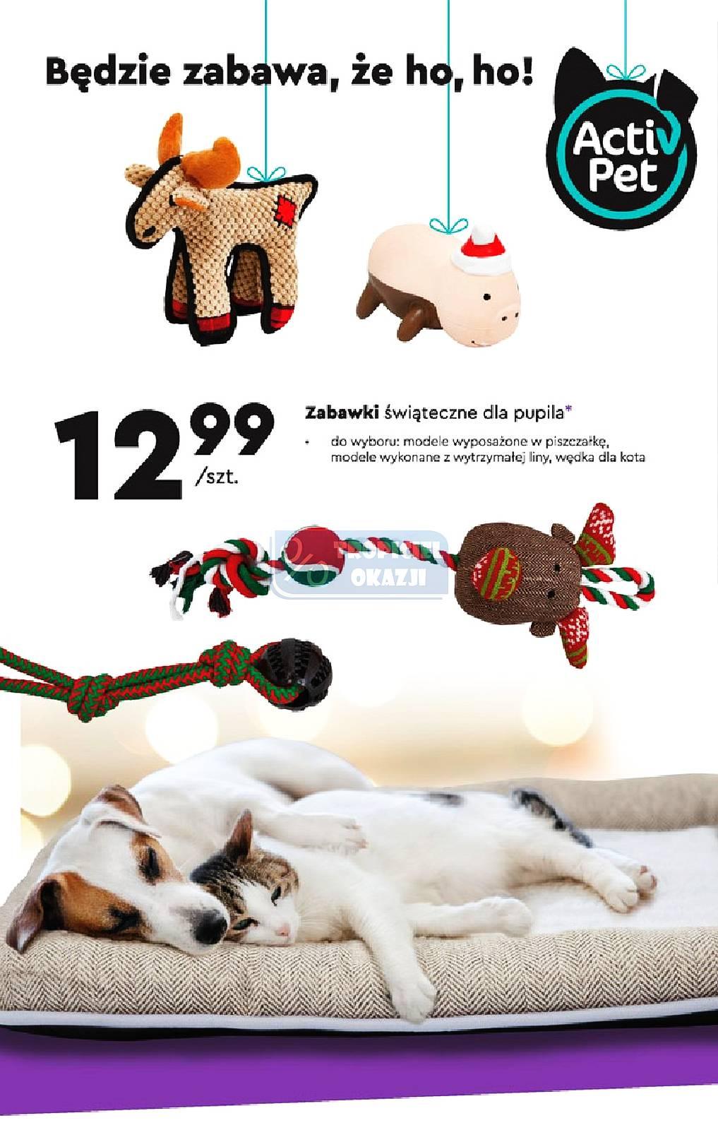 Gazetka promocyjna Biedronka str. 10