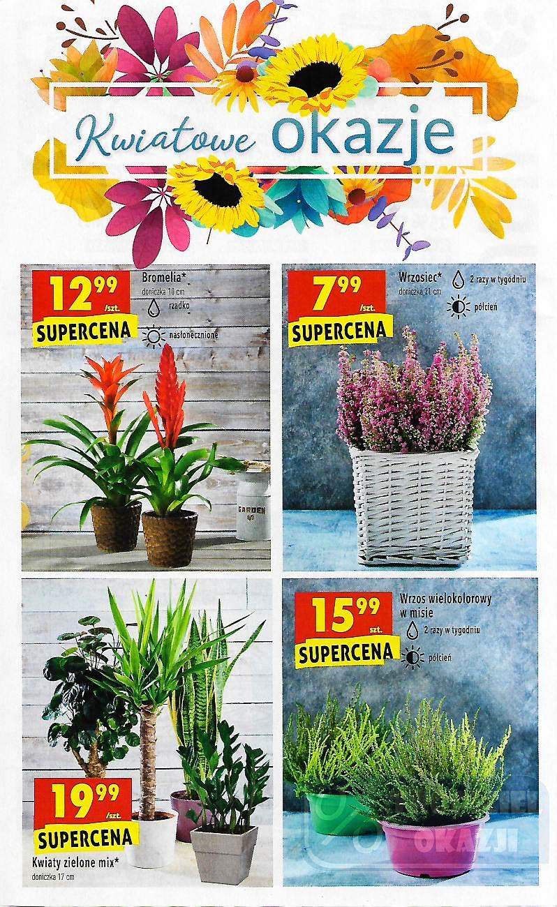 Gazetka promocyjna Biedronka str. 36