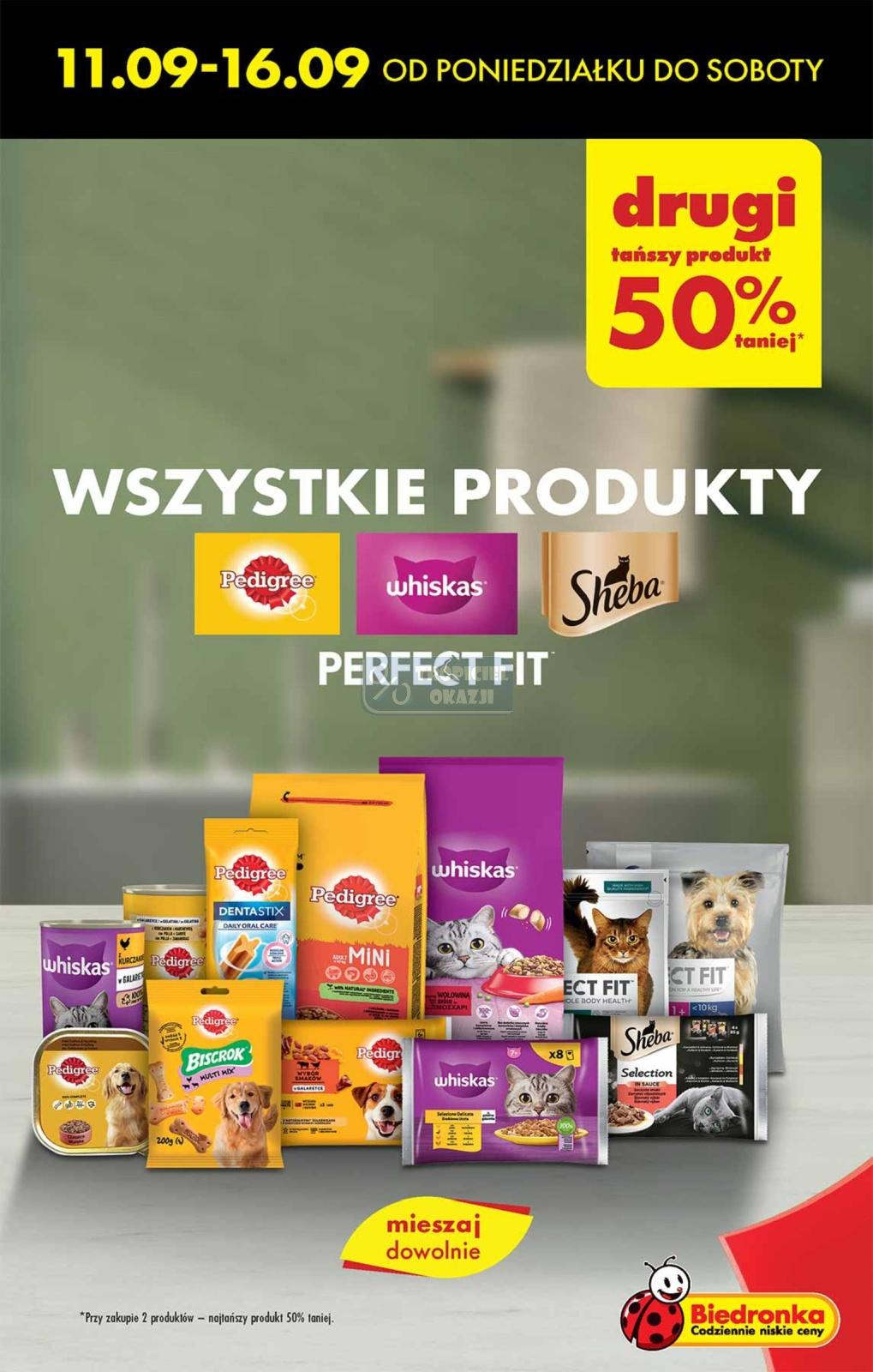 Gazetka promocyjna Biedronka str. 15