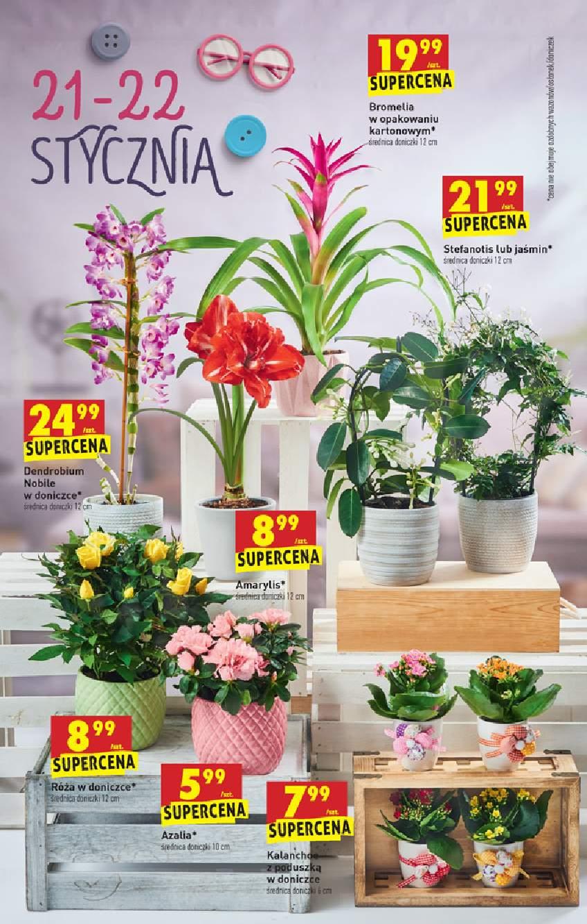 Gazetka promocyjna Biedronka str. 63