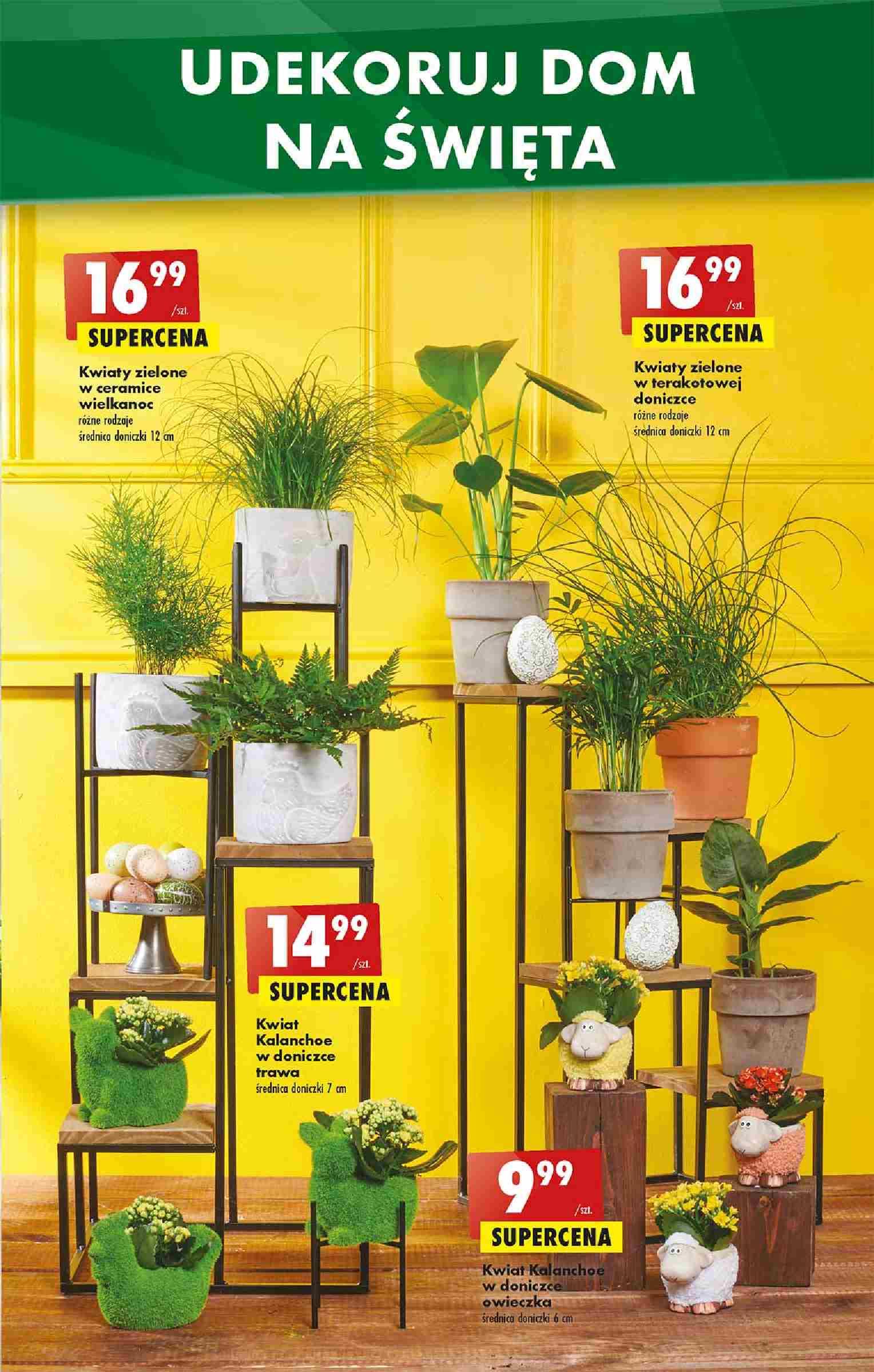 Gazetka promocyjna Biedronka str. 61