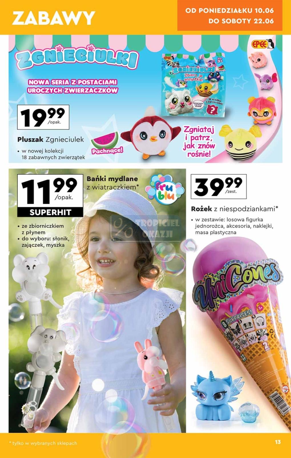 Gazetka promocyjna Biedronka str. 13