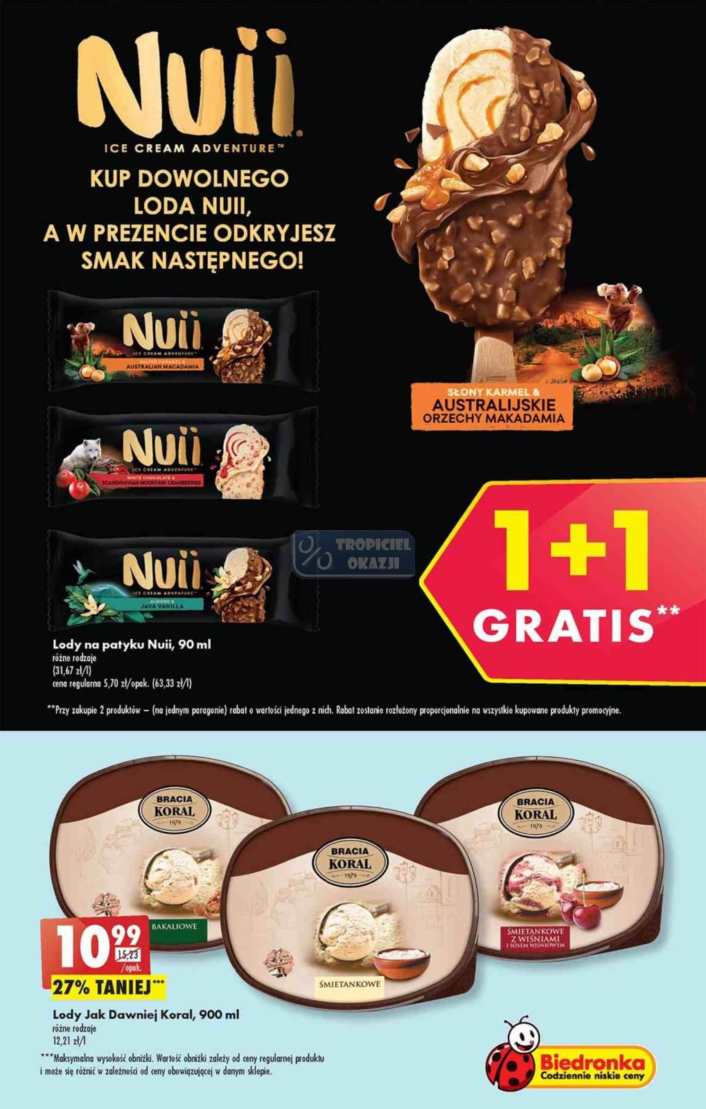 Gazetka promocyjna Biedronka str. 33