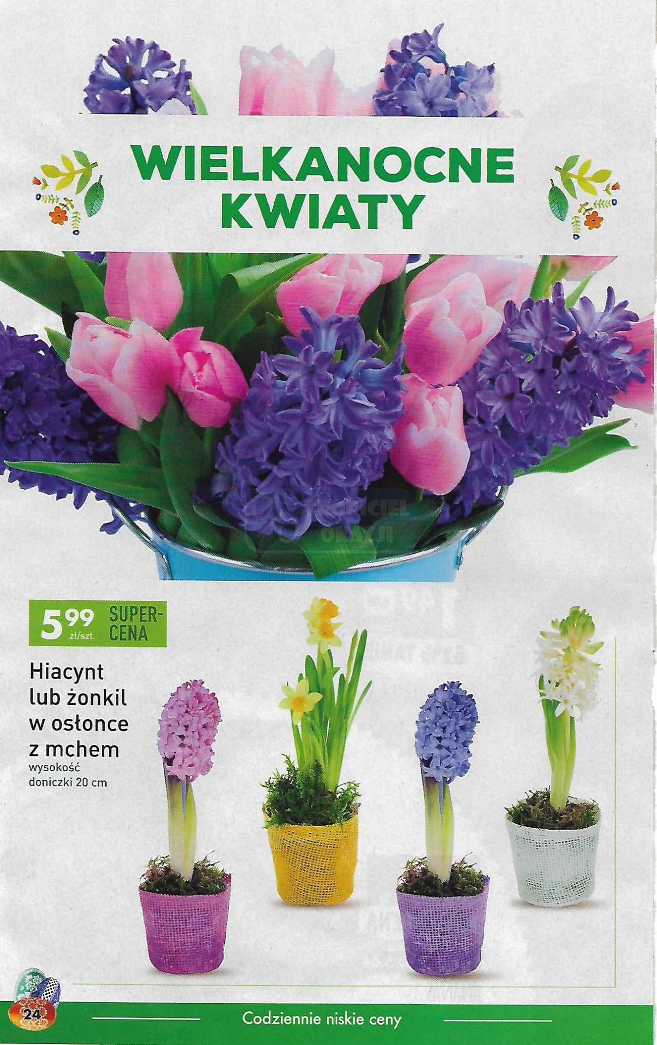 Gazetka promocyjna Biedronka str. 24