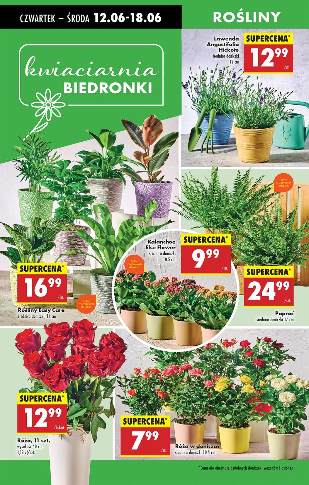 Gazetka promocyjna Biedronka str. 52