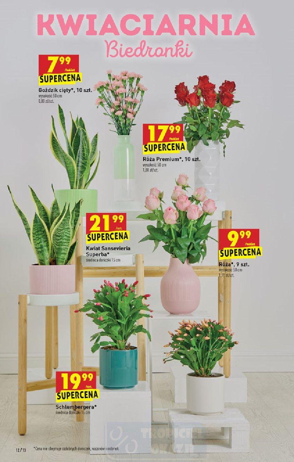 Gazetka promocyjna Biedronka str. 12