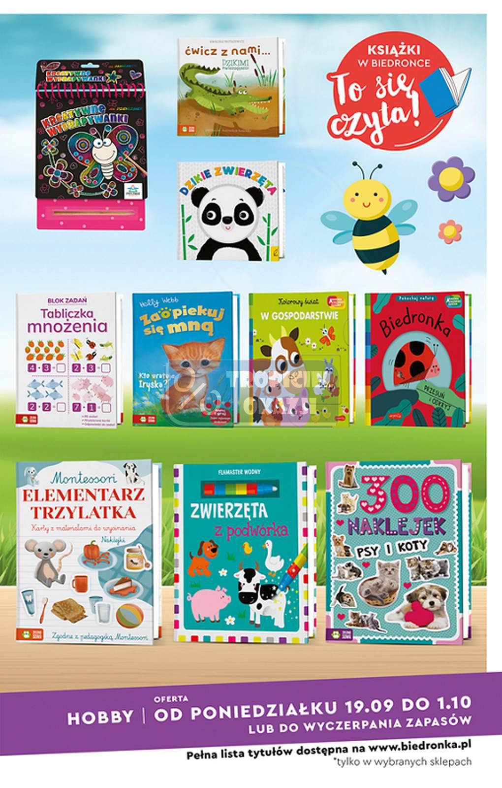 Gazetka promocyjna Biedronka str. 17