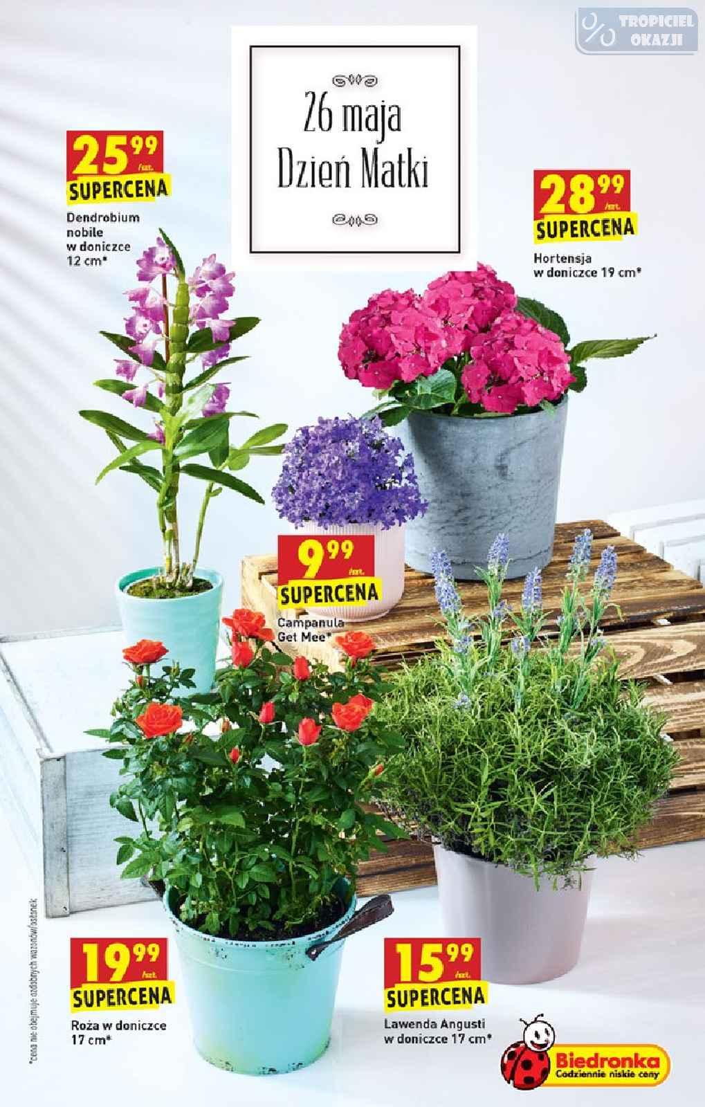 Gazetka promocyjna Biedronka str. 9