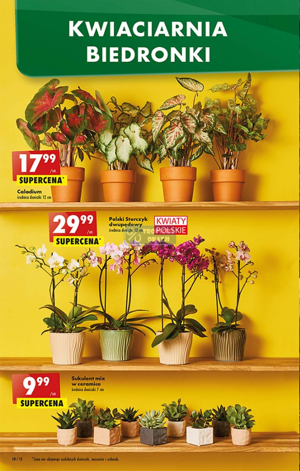 Gazetka promocyjna Biedronka str. 10