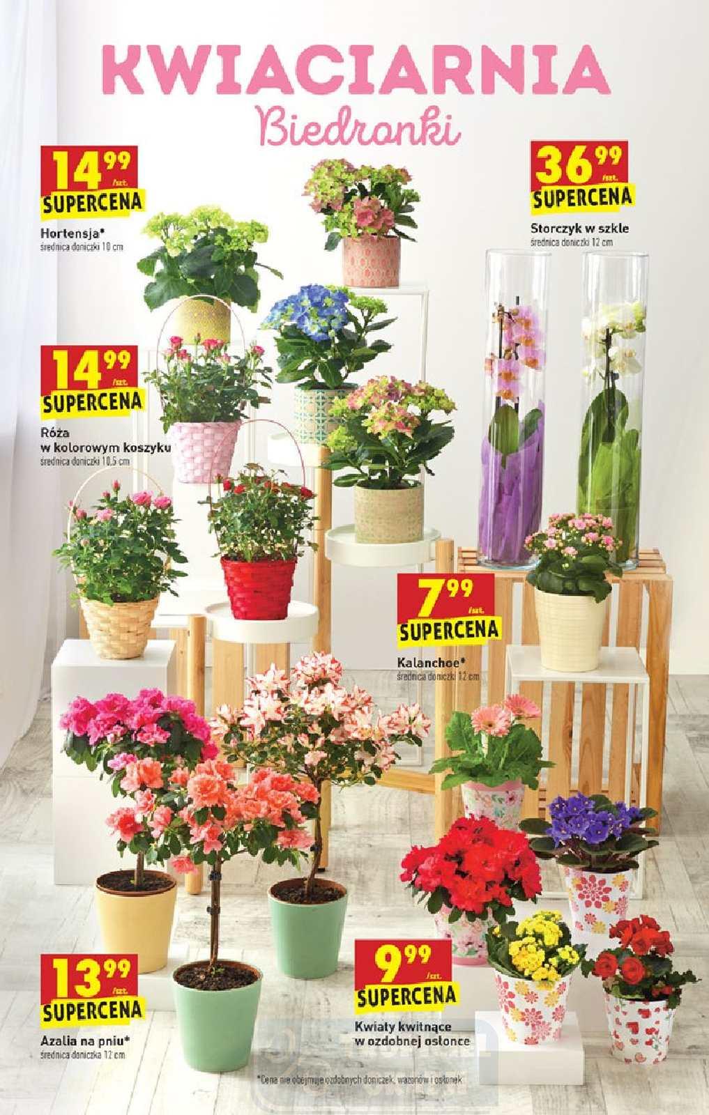 Gazetka promocyjna Biedronka str. 64