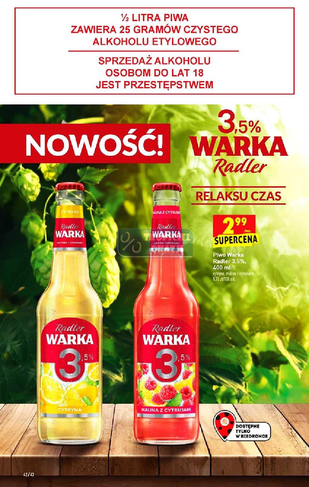 Gazetka promocyjna Biedronka str. 42