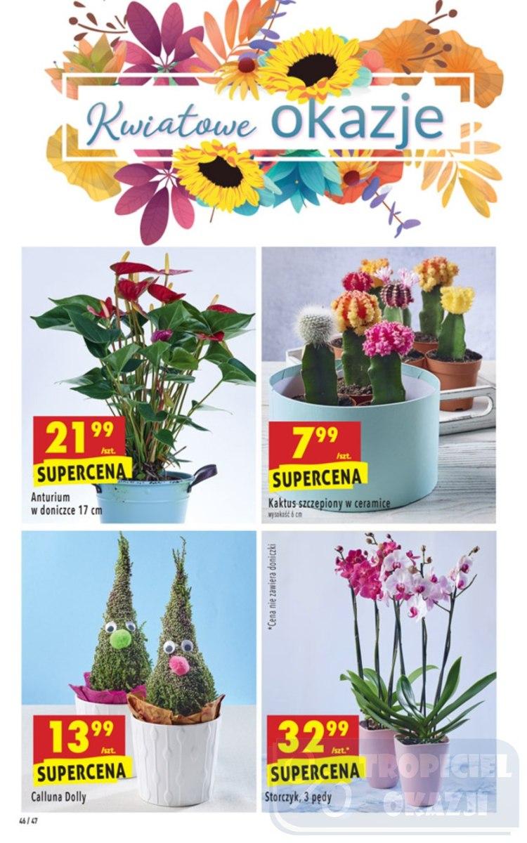 Gazetka promocyjna Biedronka str. 46