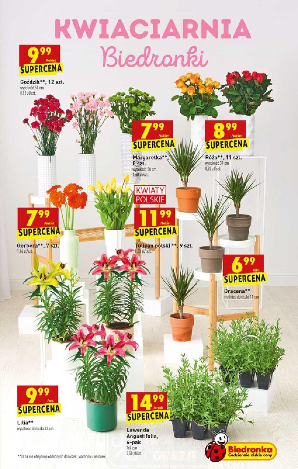 Gazetka promocyjna Biedronka str. 61