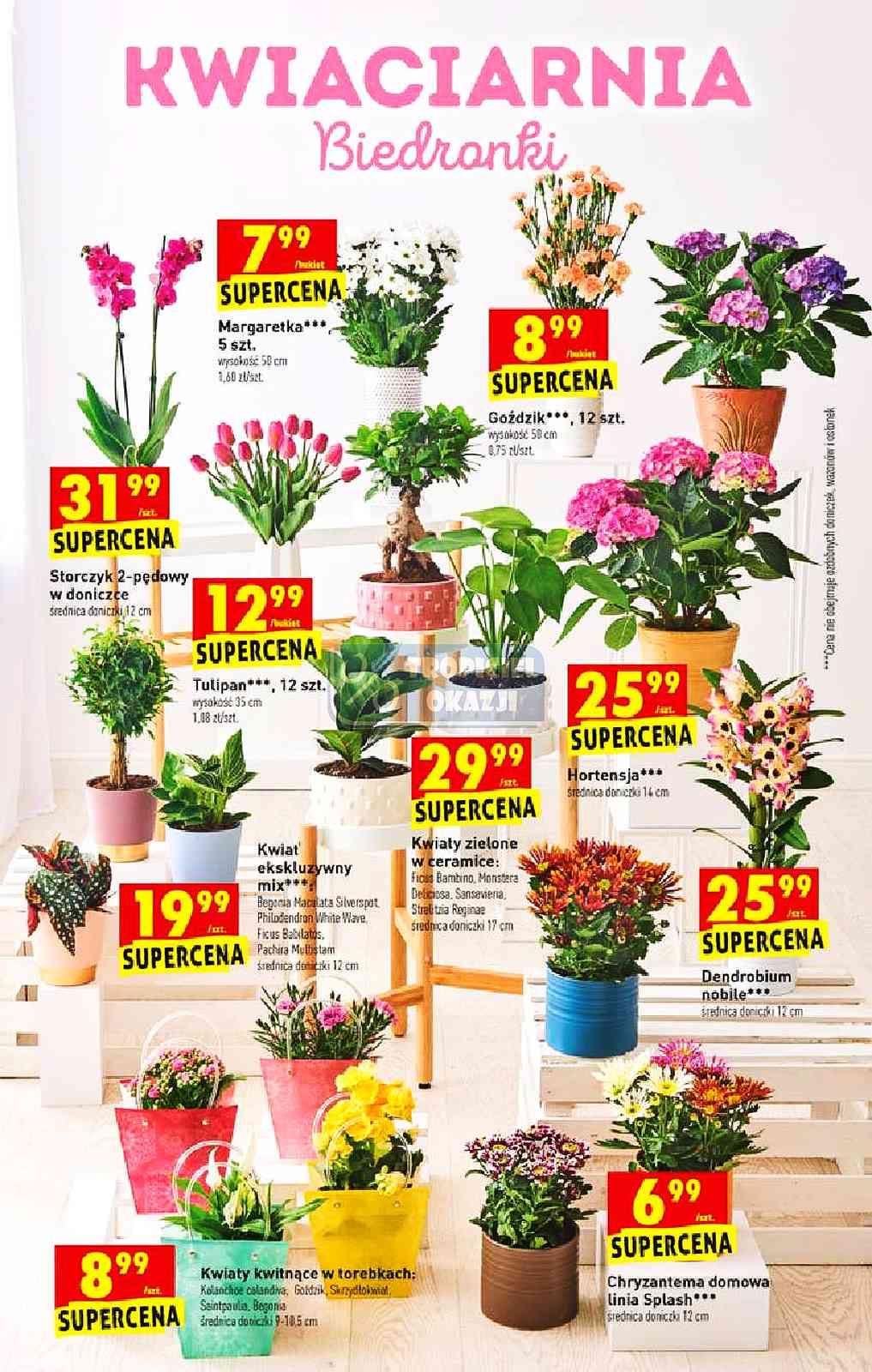 Gazetka promocyjna Biedronka str. 15