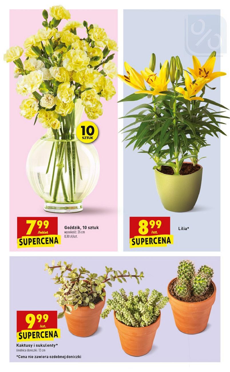 Gazetka promocyjna Biedronka str. 47