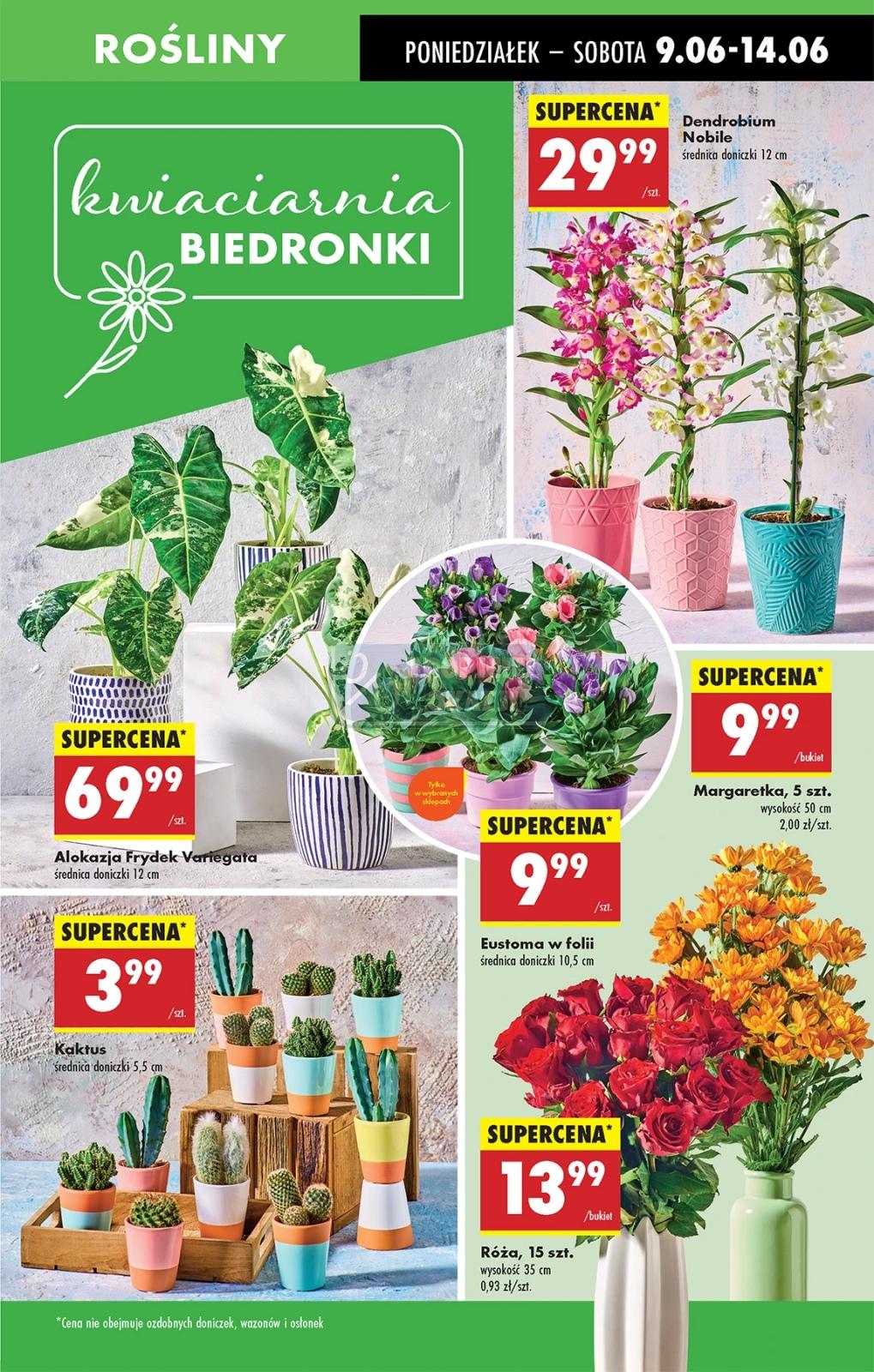 Gazetka promocyjna Biedronka str. 19