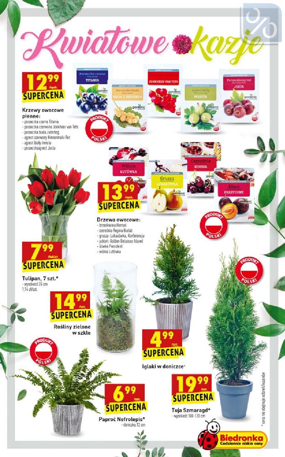 Gazetka promocyjna Biedronka str. 55