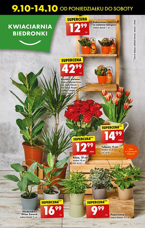 Gazetka promocyjna Biedronka str. 21