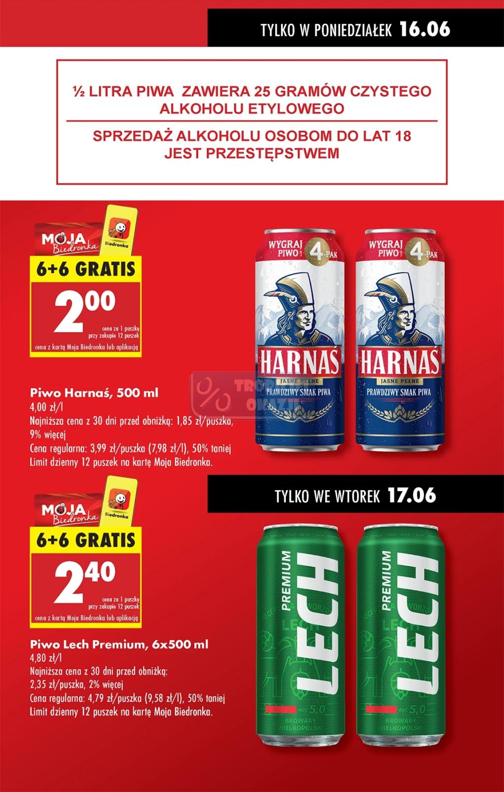 Gazetka promocyjna Biedronka str. 13