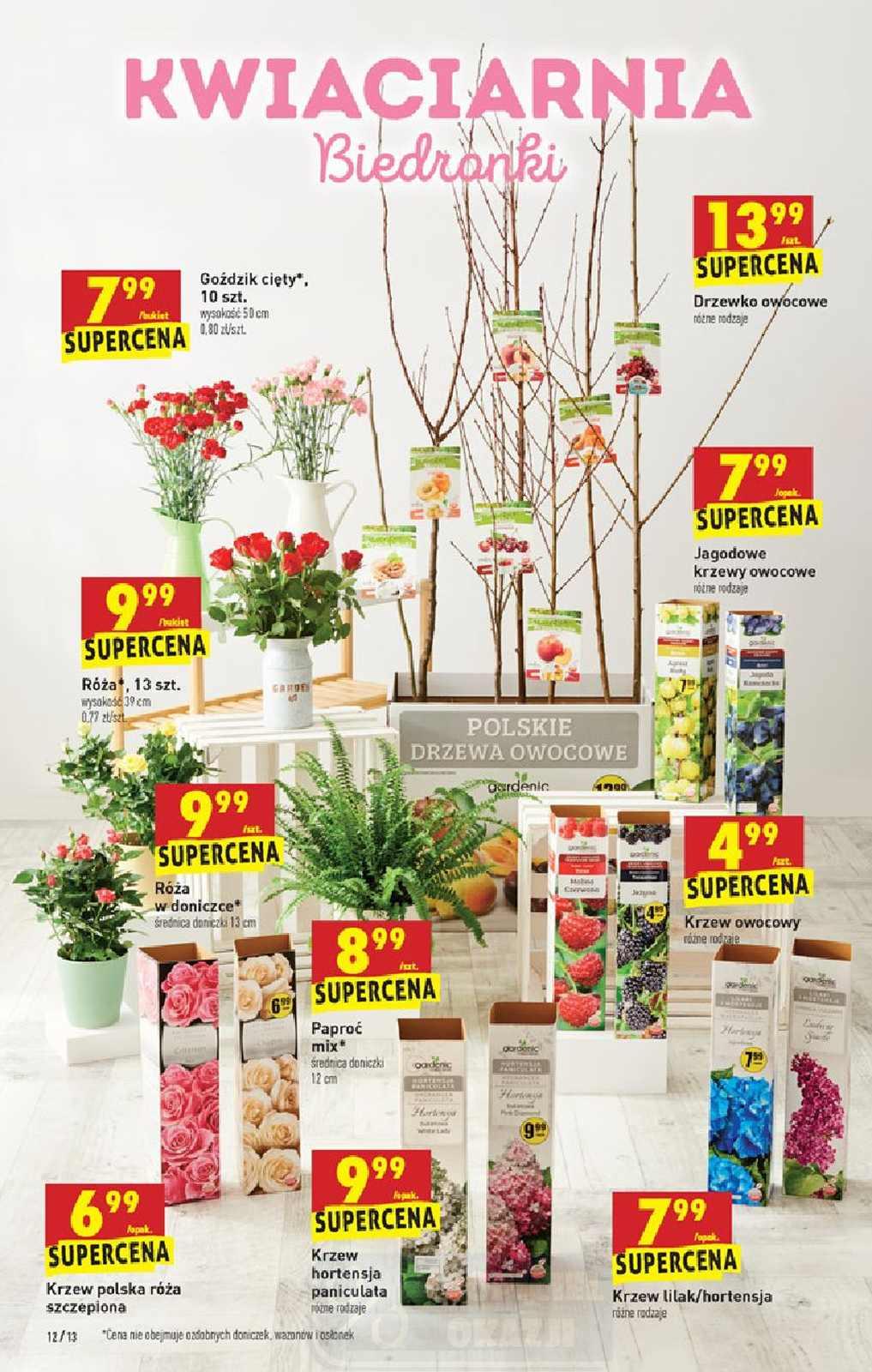 Gazetka promocyjna Biedronka str. 12