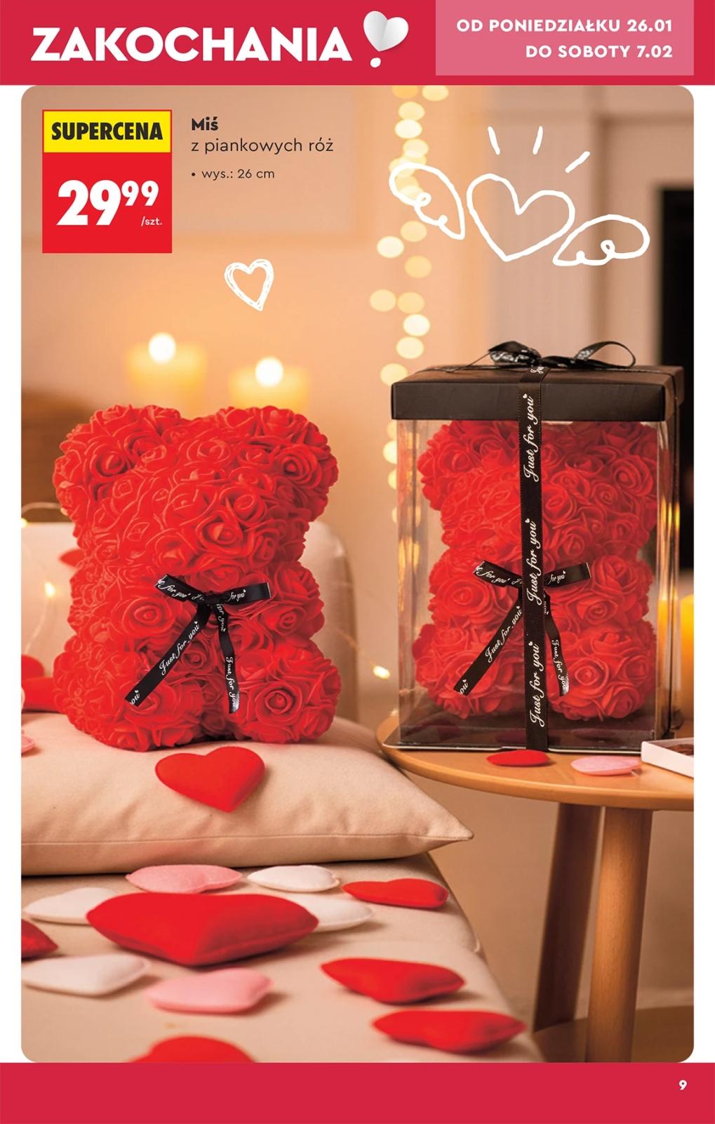 Gazetka promocyjna Biedronka str. 11