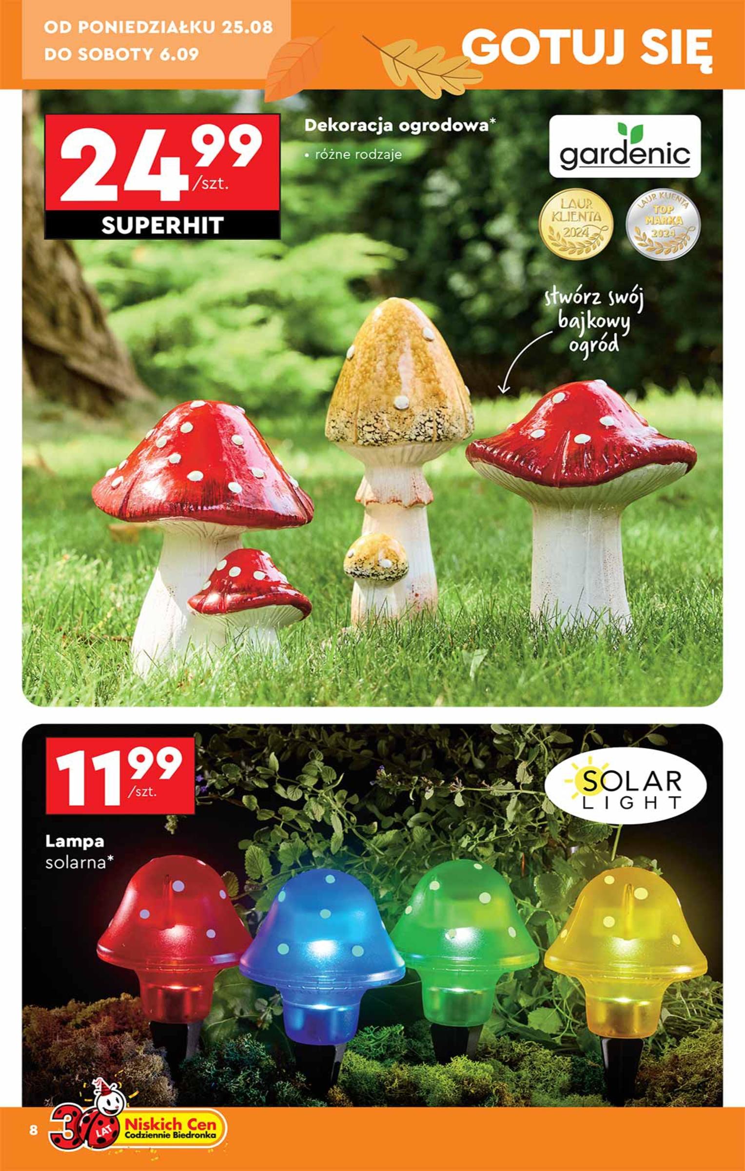 Gazetka promocyjna Biedronka str. 8