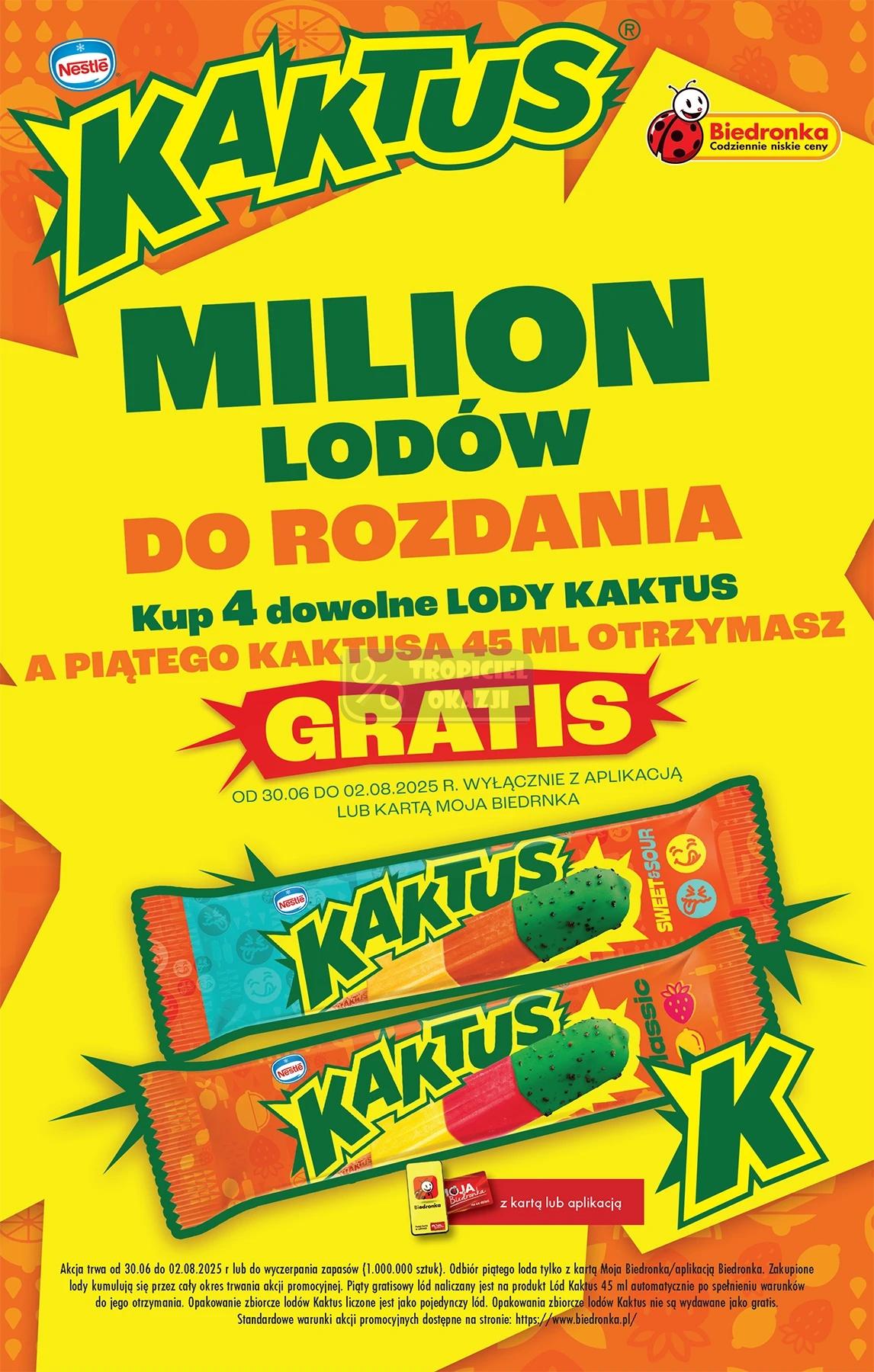 Gazetka promocyjna Biedronka str. 68