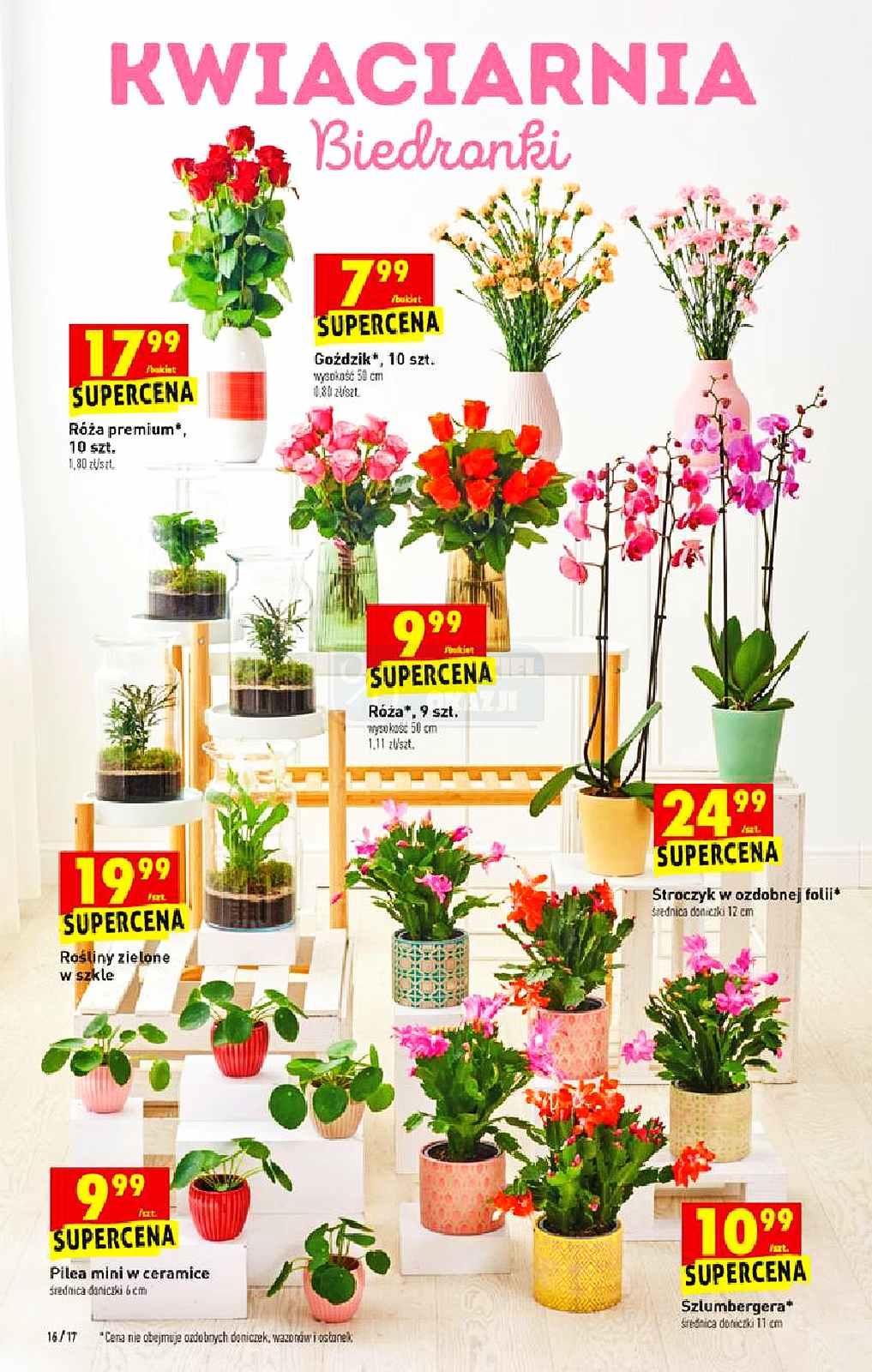 Gazetka promocyjna Biedronka str. 16