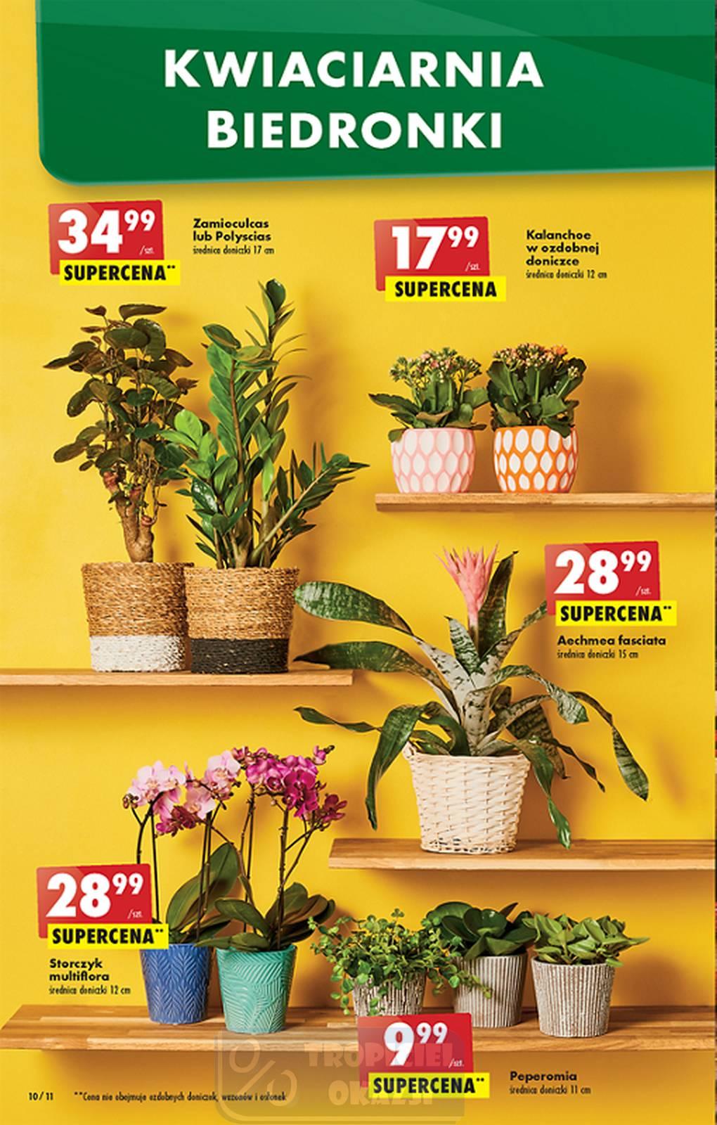 Gazetka promocyjna Biedronka str. 10