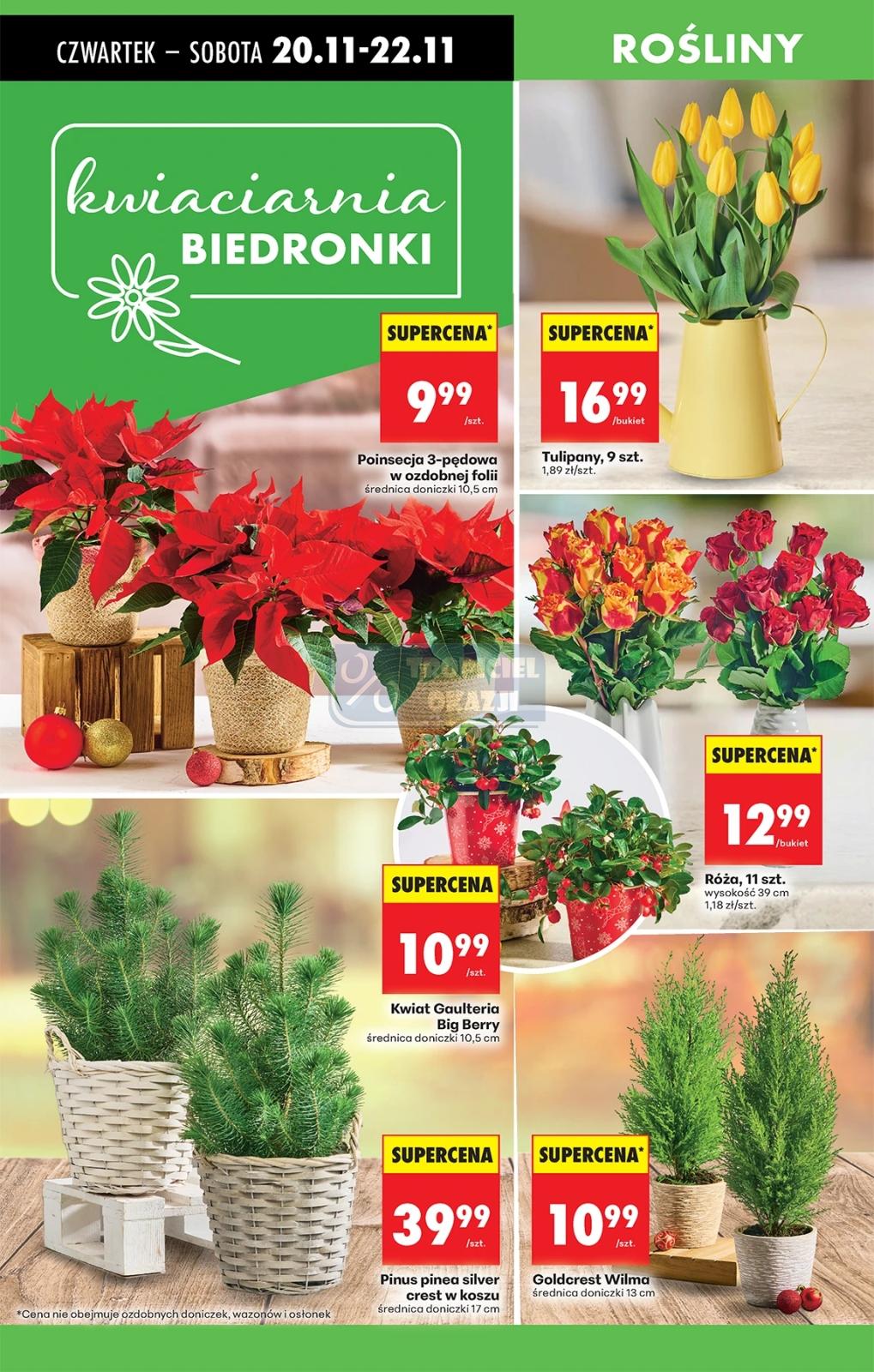 Gazetka promocyjna Biedronka str. 17