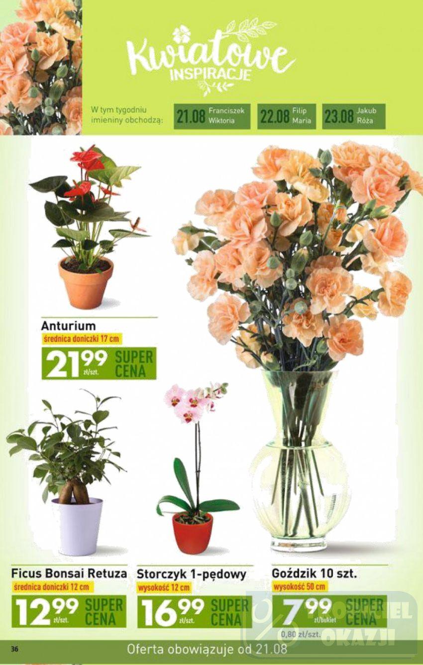 Gazetka promocyjna Biedronka str. 36