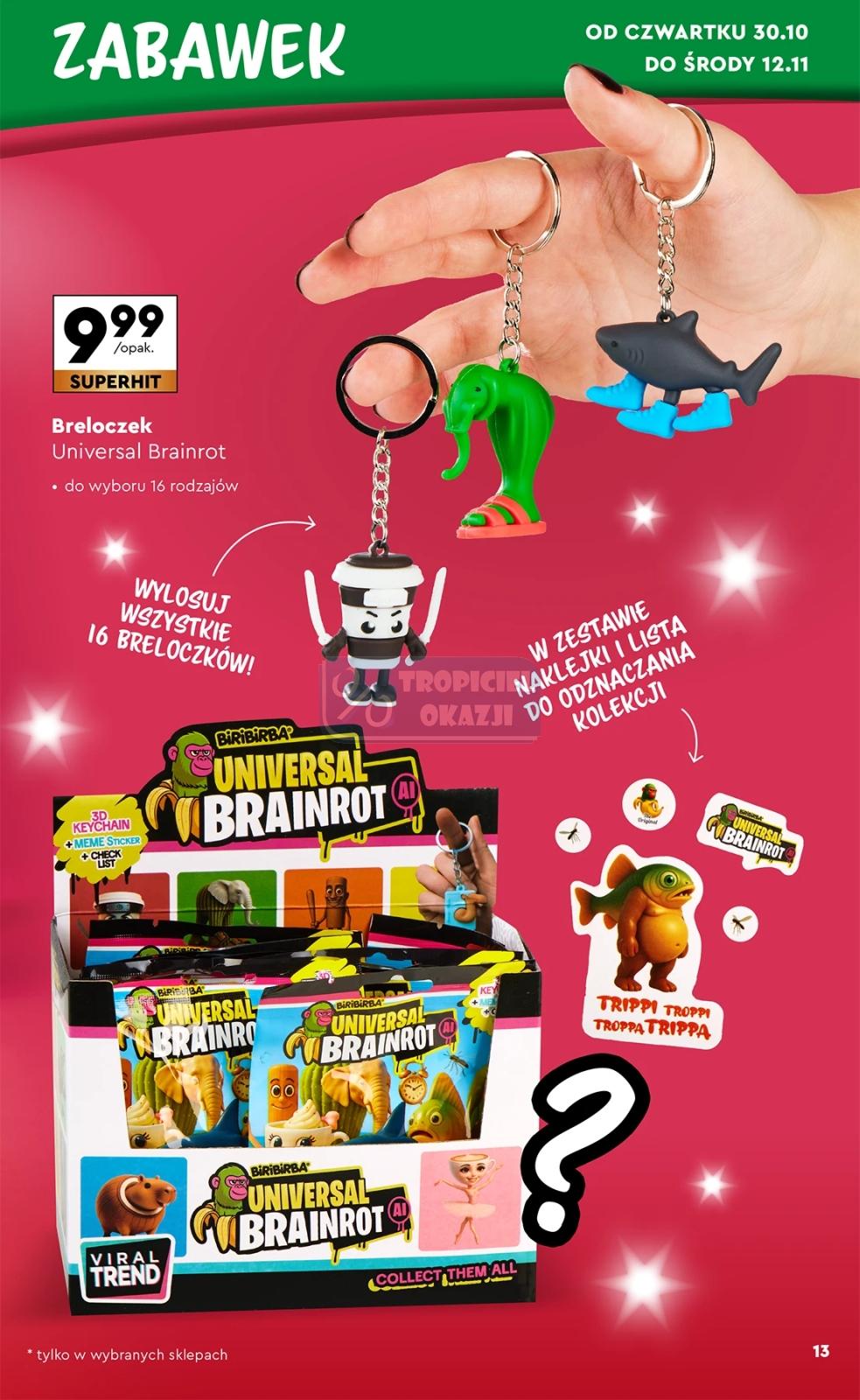 Gazetka promocyjna Biedronka str. 13