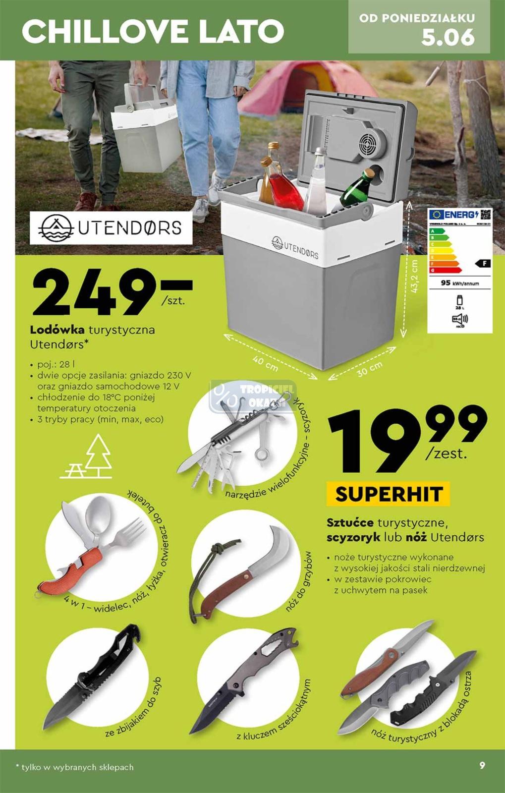 Gazetka promocyjna Biedronka str. 9