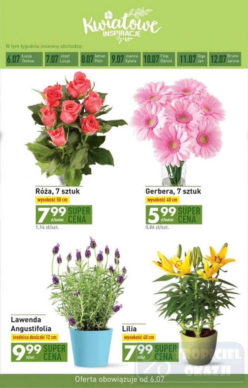 Gazetka promocyjna Biedronka str. 33