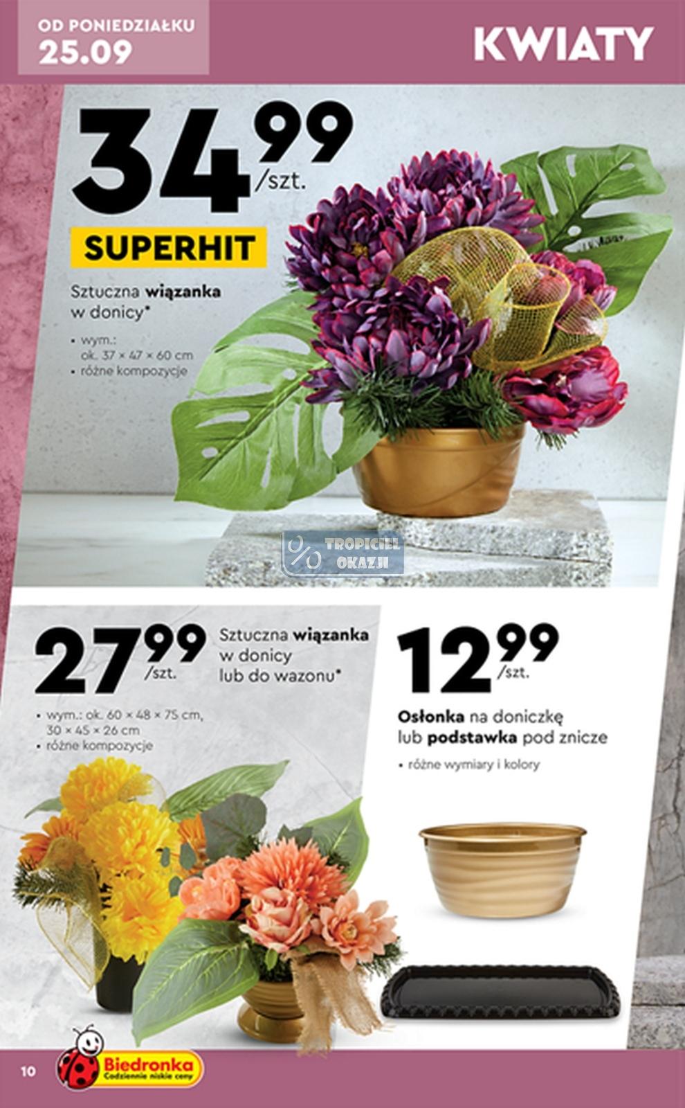 Gazetka promocyjna Biedronka str. 10