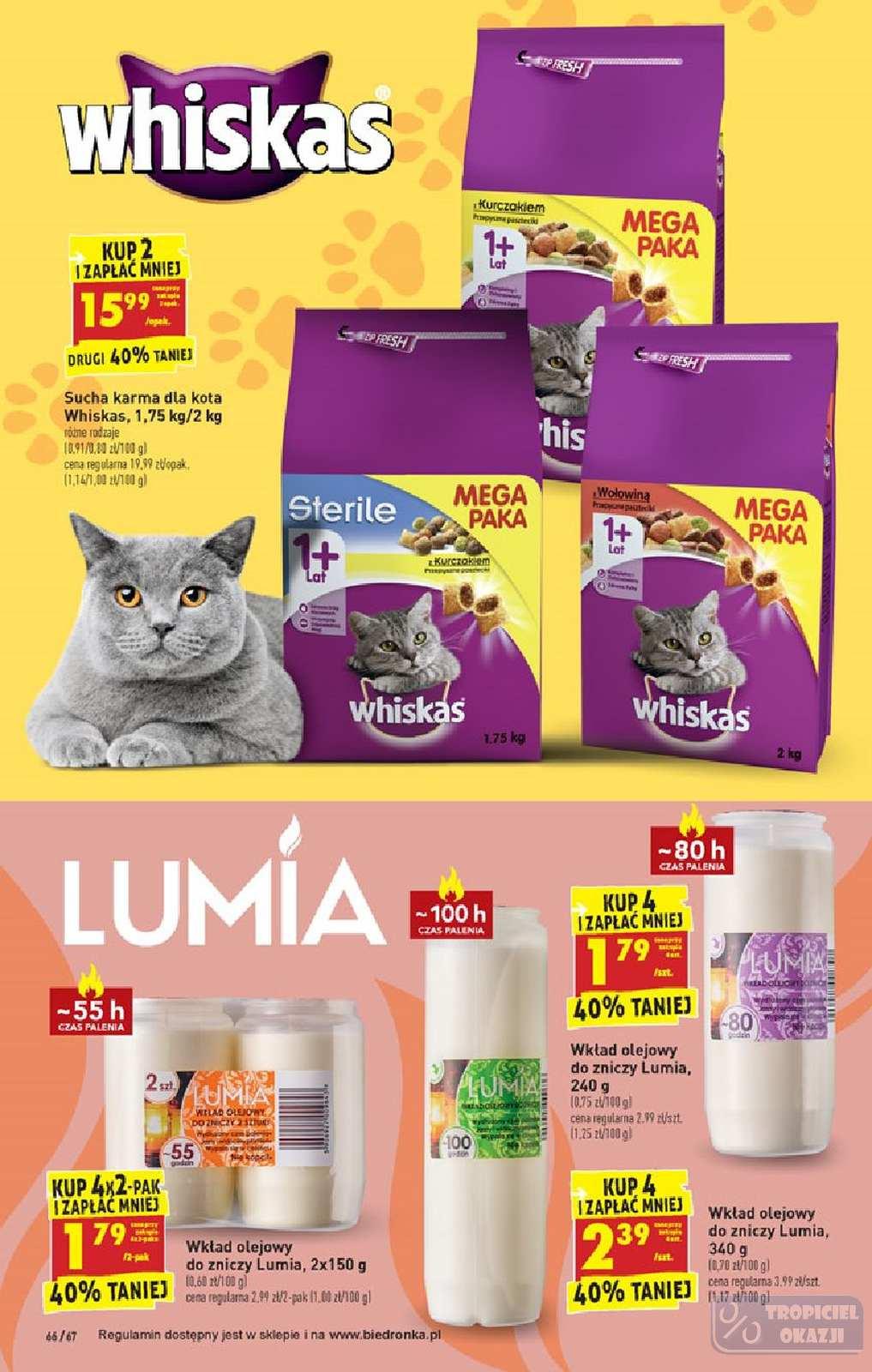 Gazetka promocyjna Biedronka str. 66