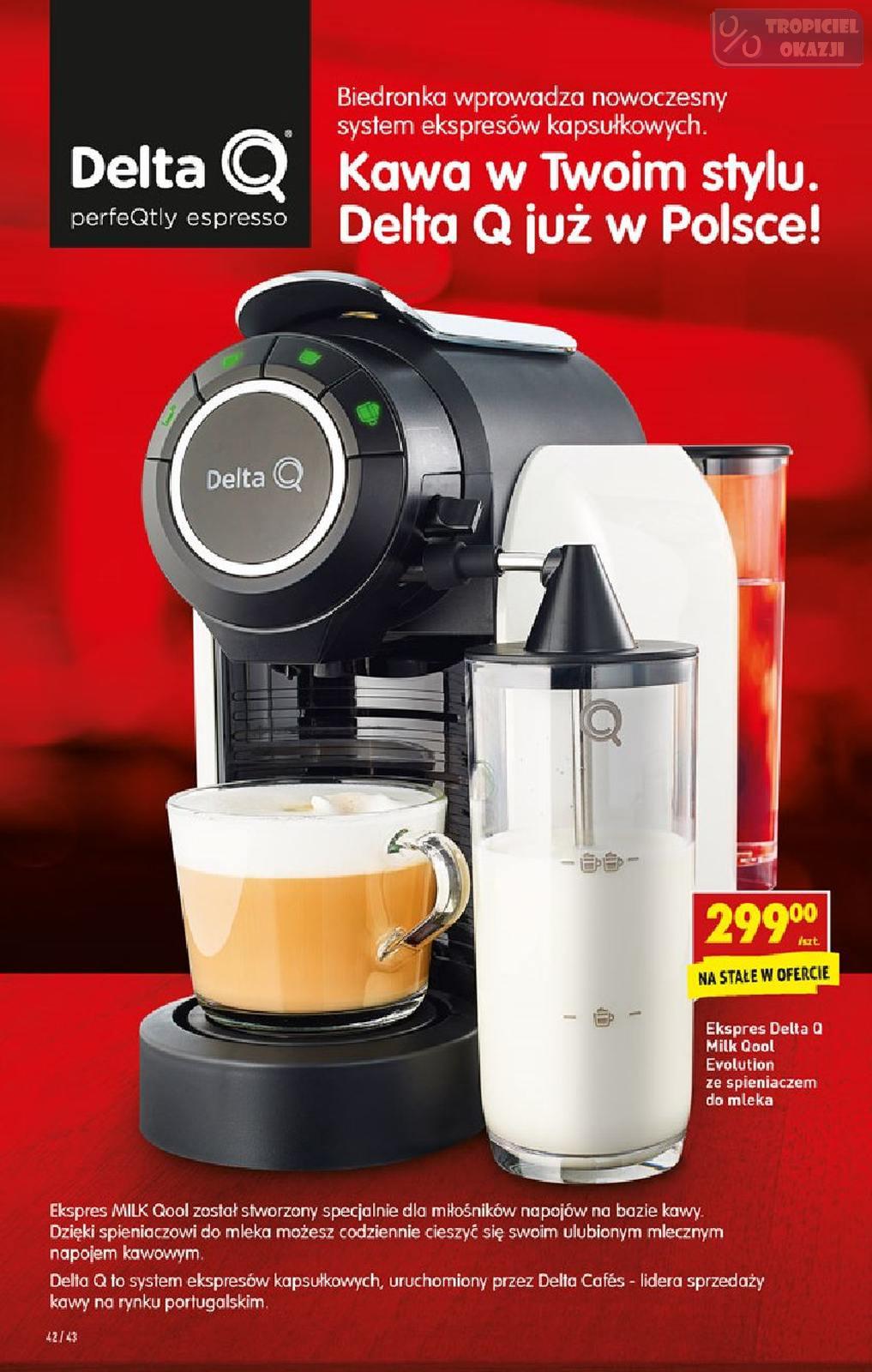 Gazetka promocyjna Biedronka str. 42