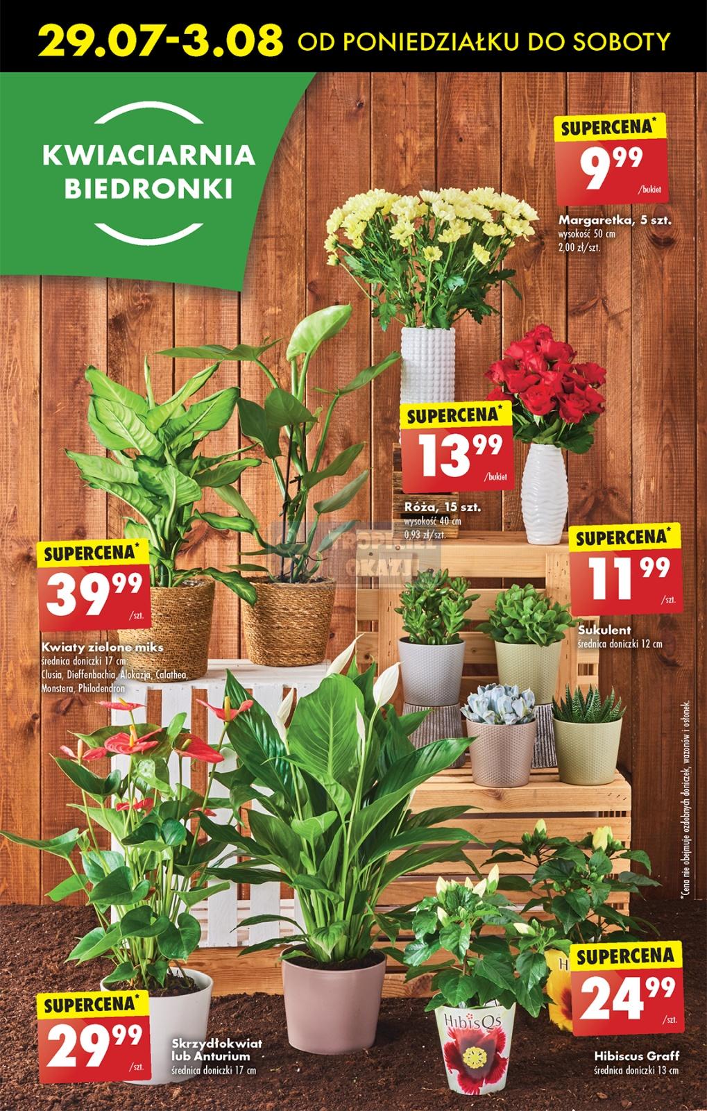 Gazetka promocyjna Biedronka str. 61