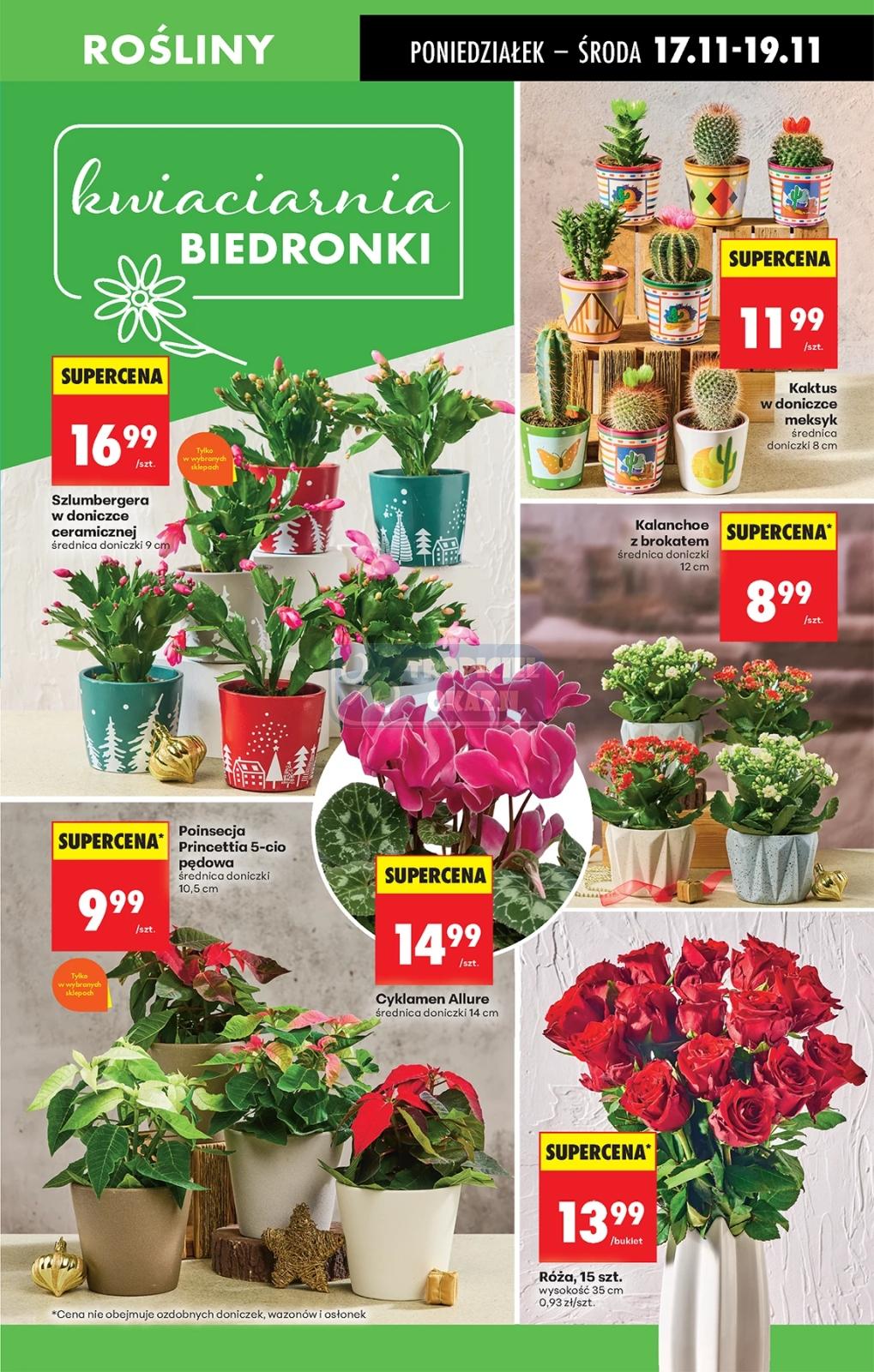 Gazetka promocyjna Biedronka str. 24
