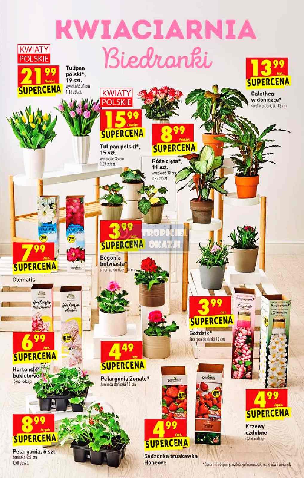 Gazetka promocyjna Biedronka str. 61