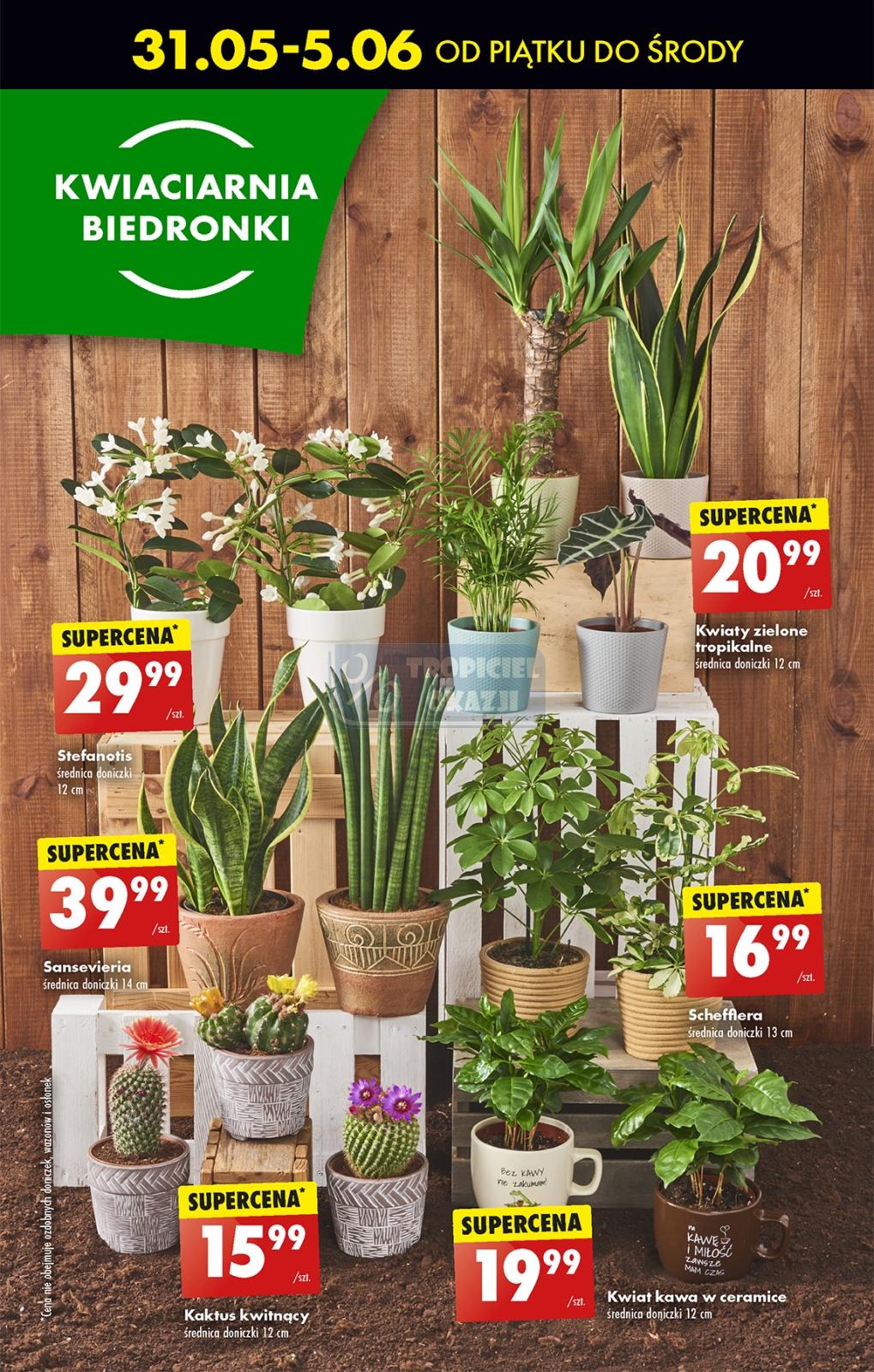 Gazetka promocyjna Biedronka str. 57