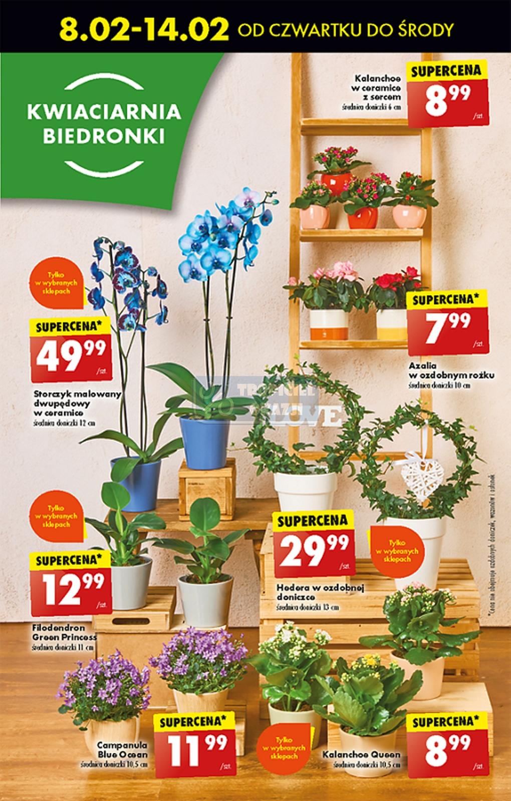 Gazetka promocyjna Biedronka str. 55