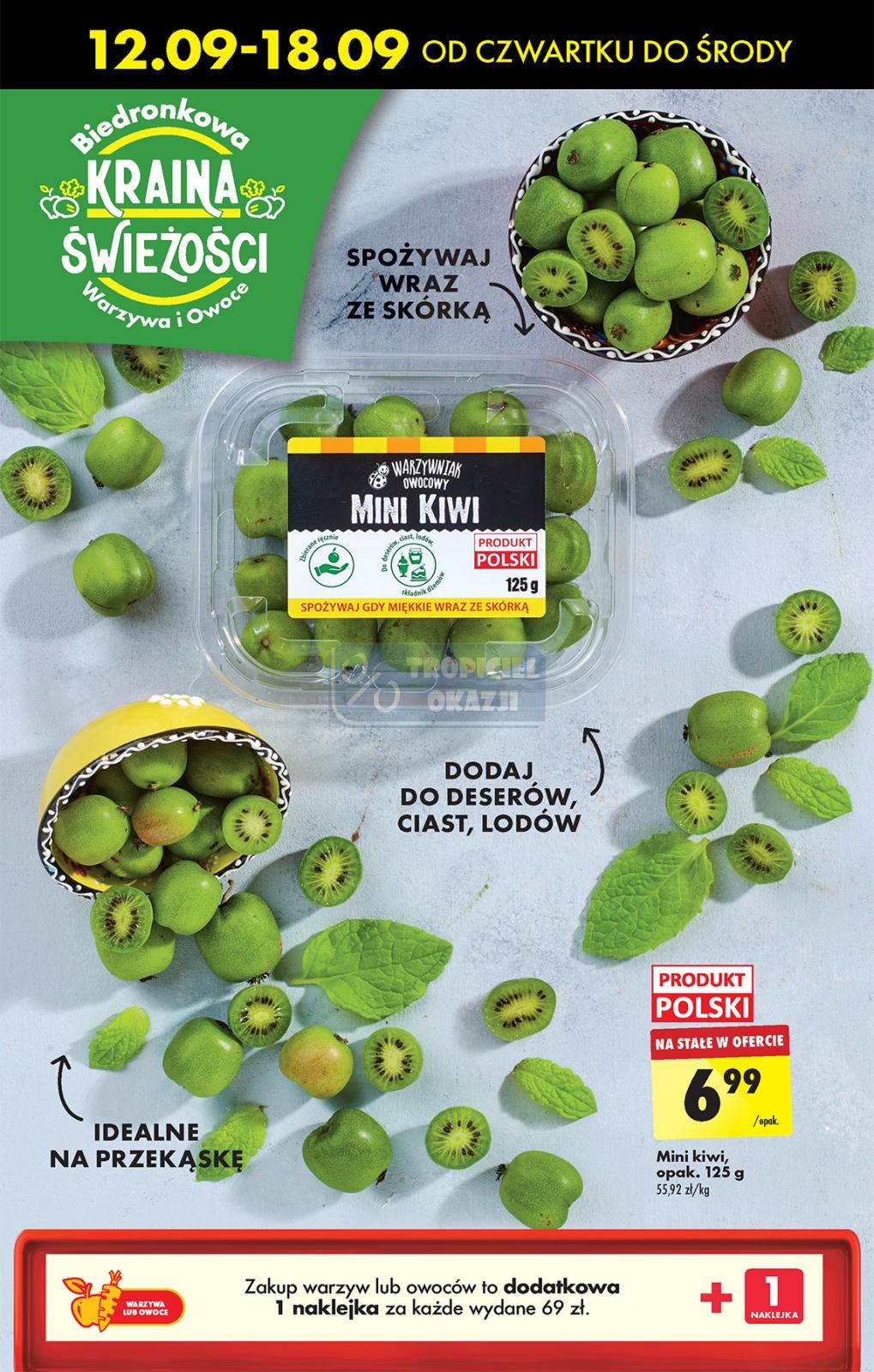 Gazetka promocyjna Biedronka str. 60