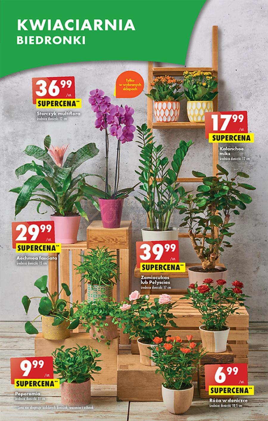 Gazetka promocyjna Biedronka str. 60