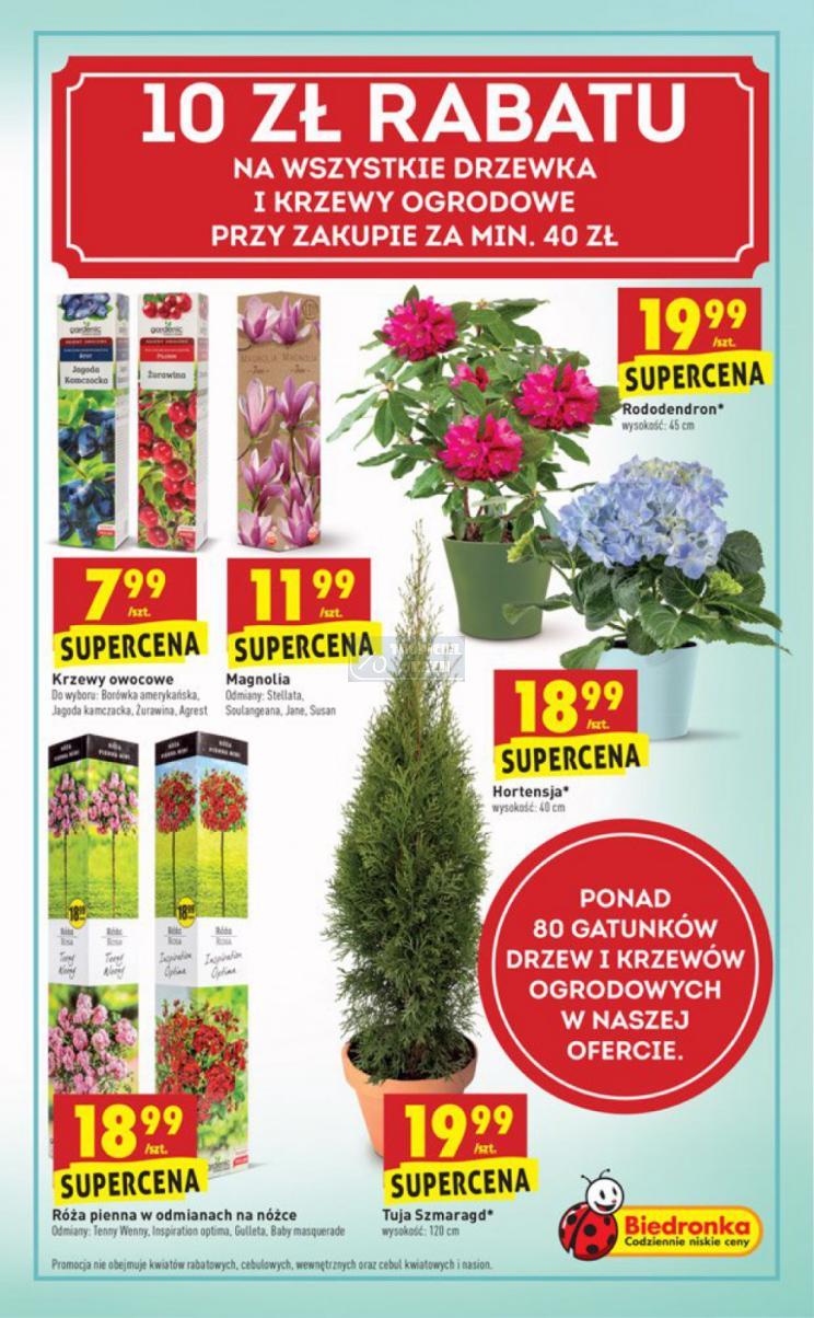 Gazetka promocyjna Biedronka str. 51