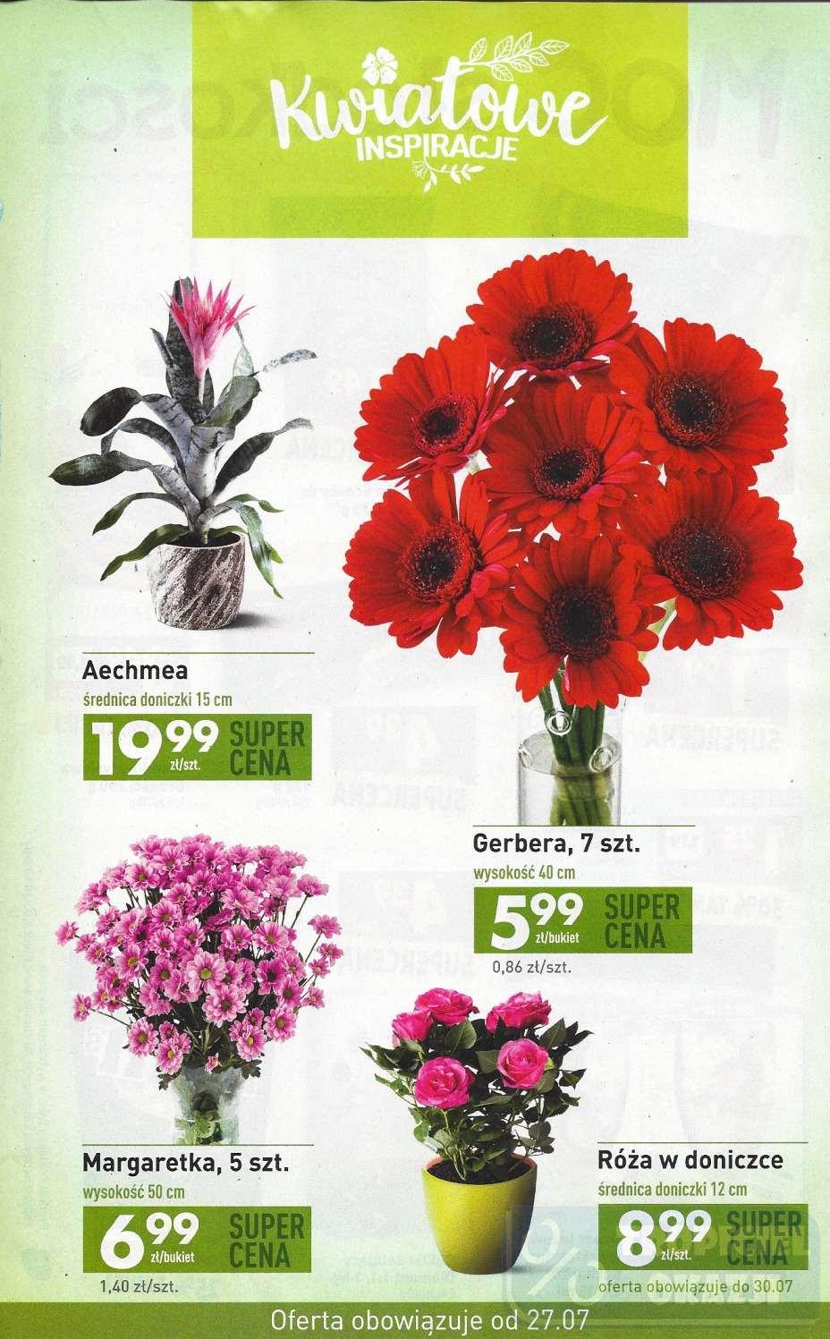 Gazetka promocyjna Biedronka str. 23