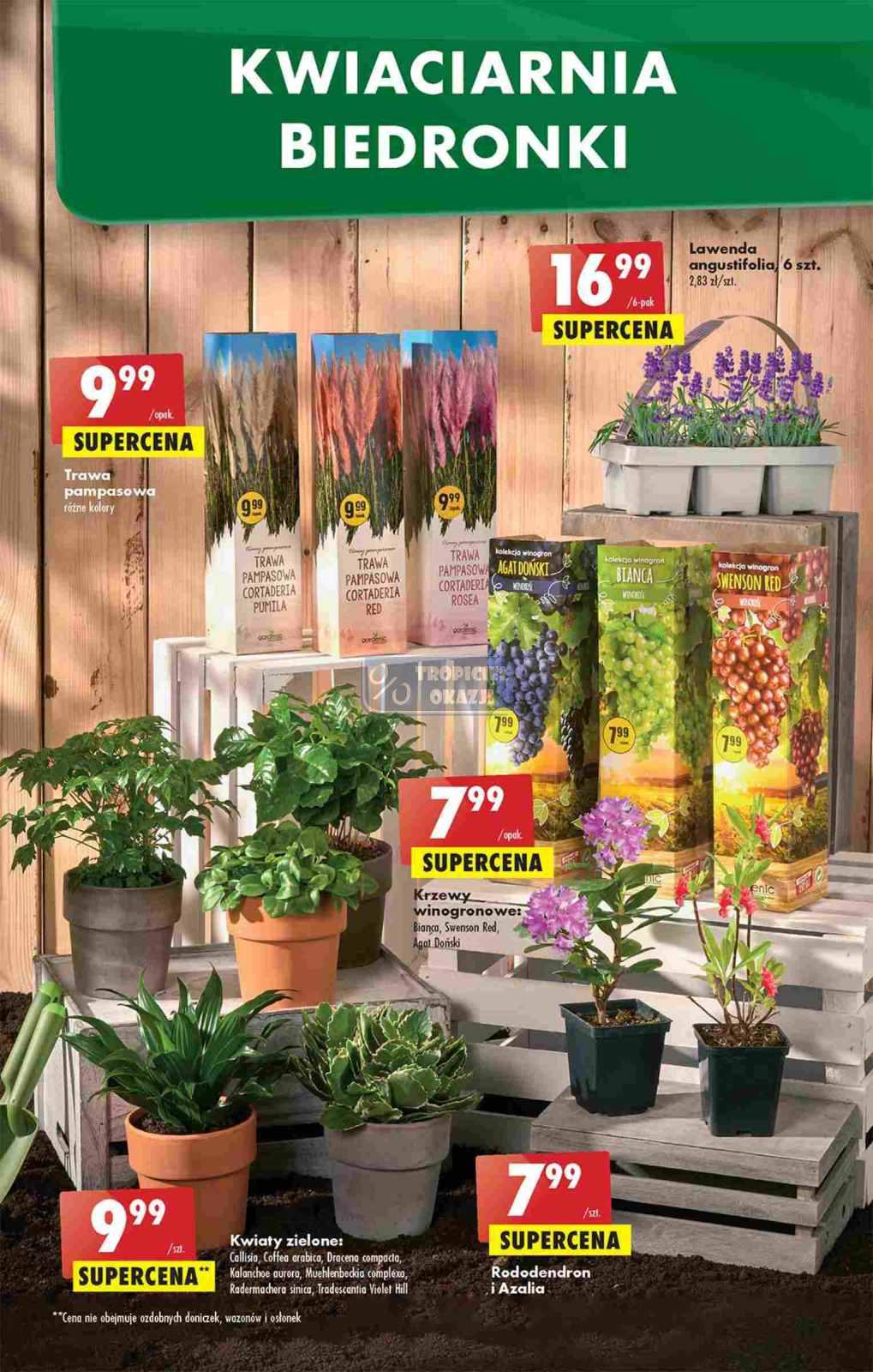 Gazetka promocyjna Biedronka str. 53