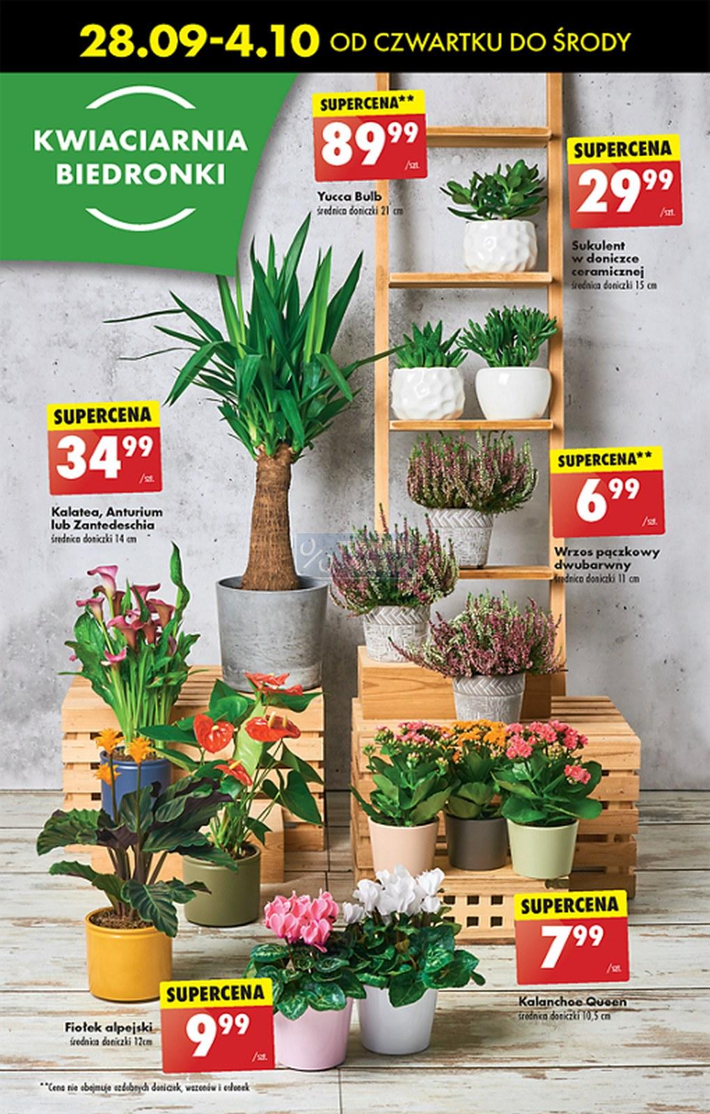 Gazetka promocyjna Biedronka str. 25